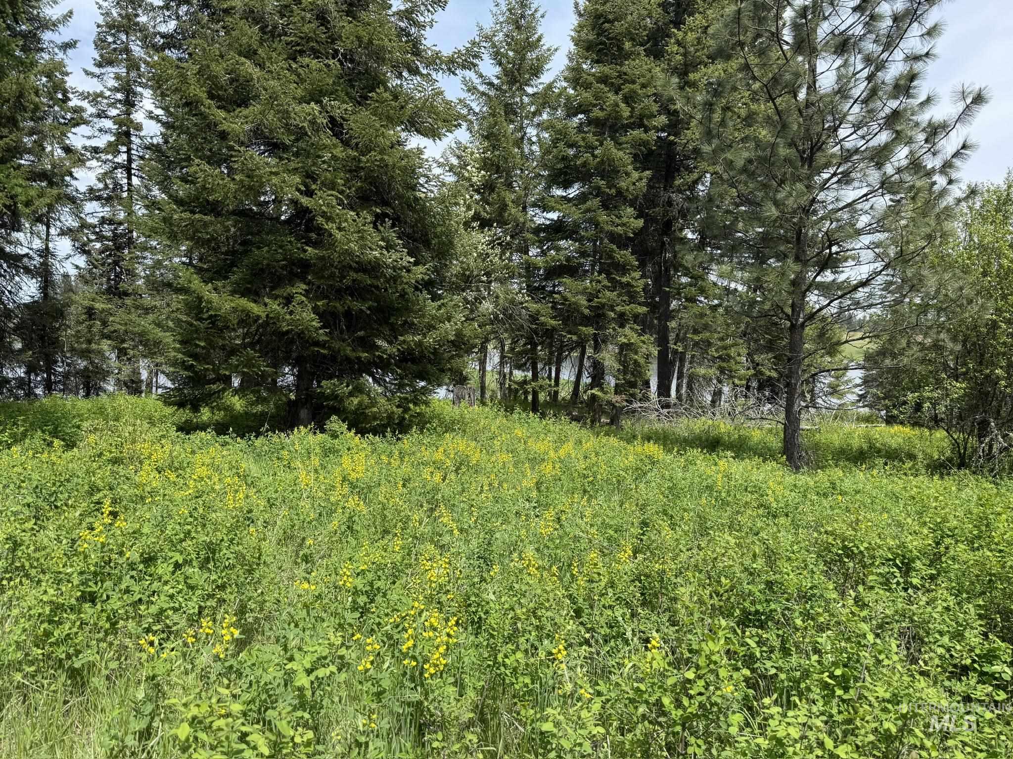 Tbd 4 Mile Road Property Photo 18