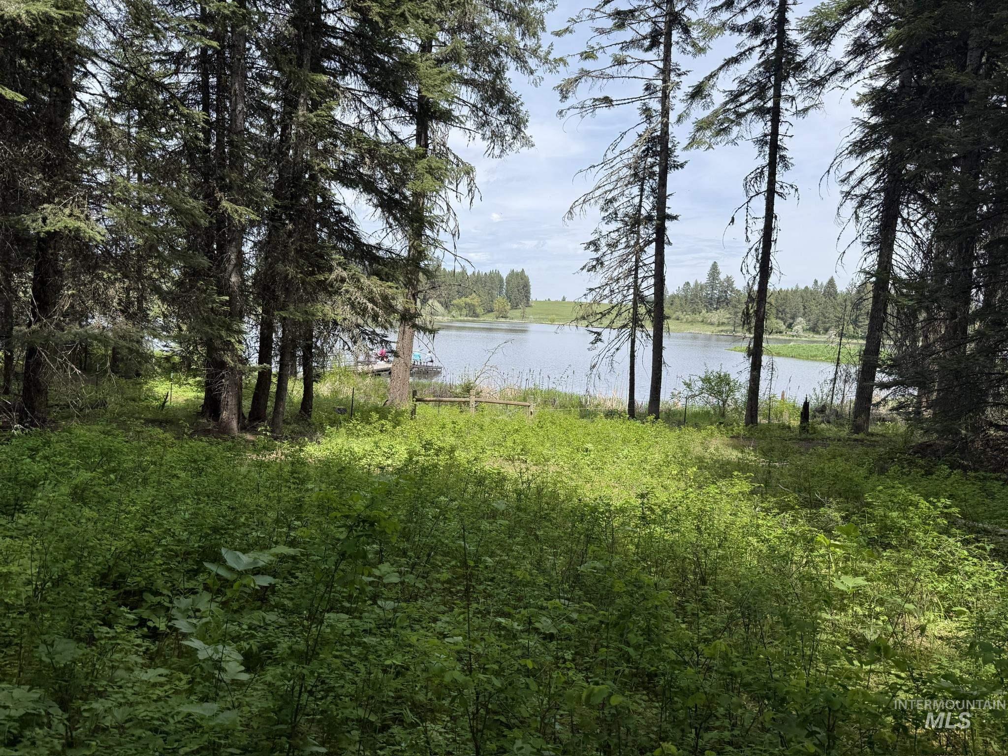 Tbd 4 Mile Road Property Photo 19