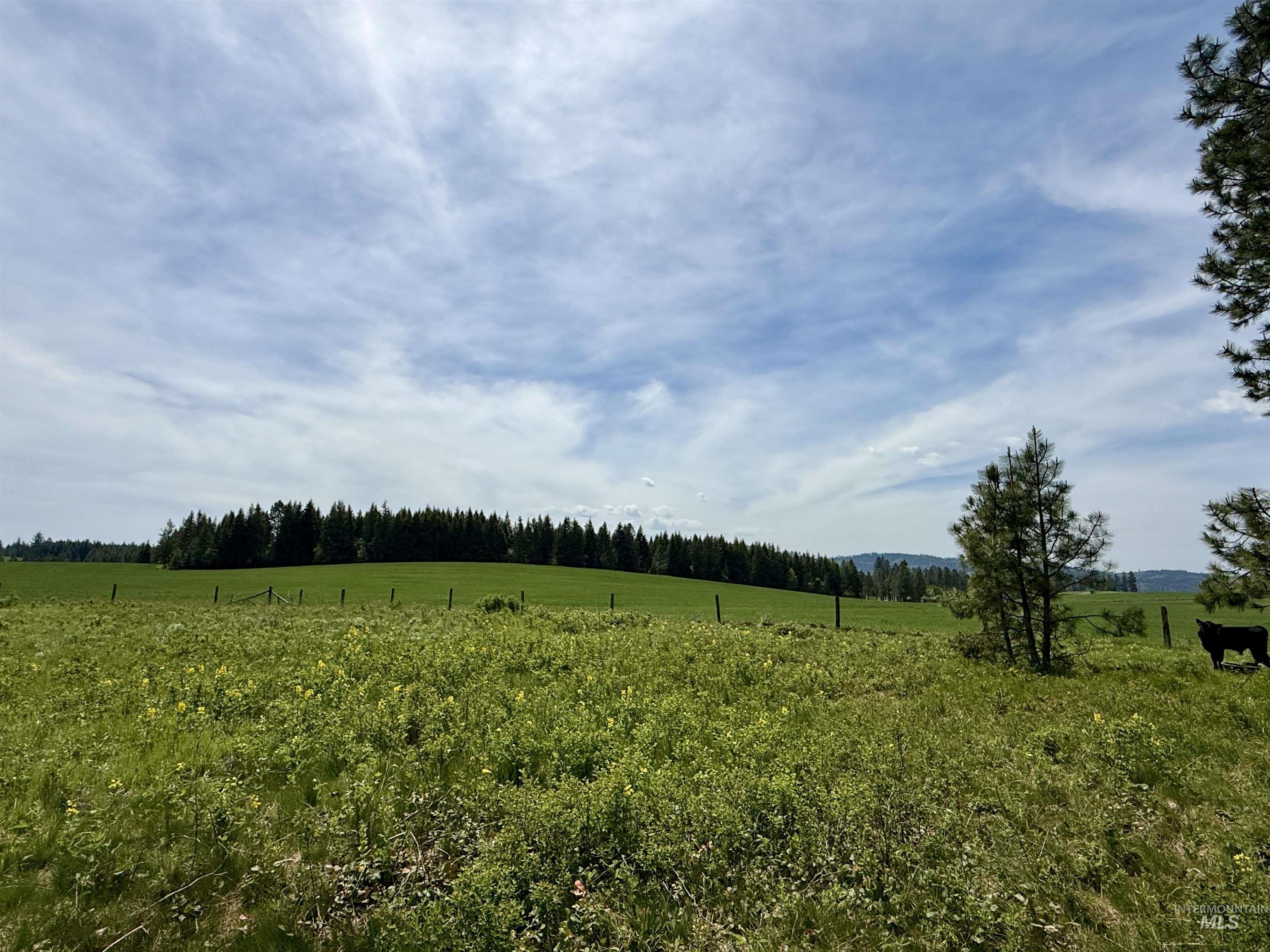 Tbd 4 Mile Road Property Photo 20