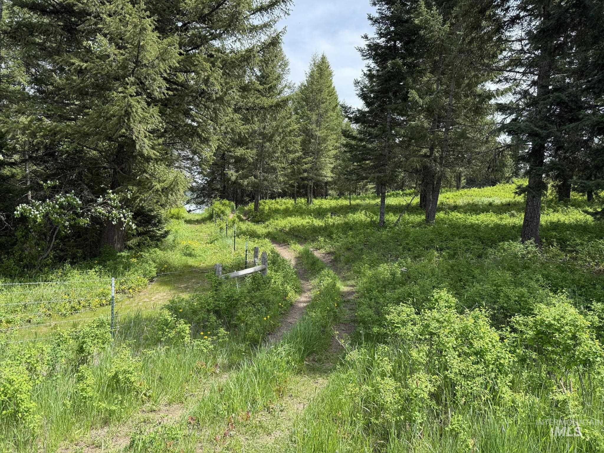 Tbd 4 Mile Road Property Photo 21