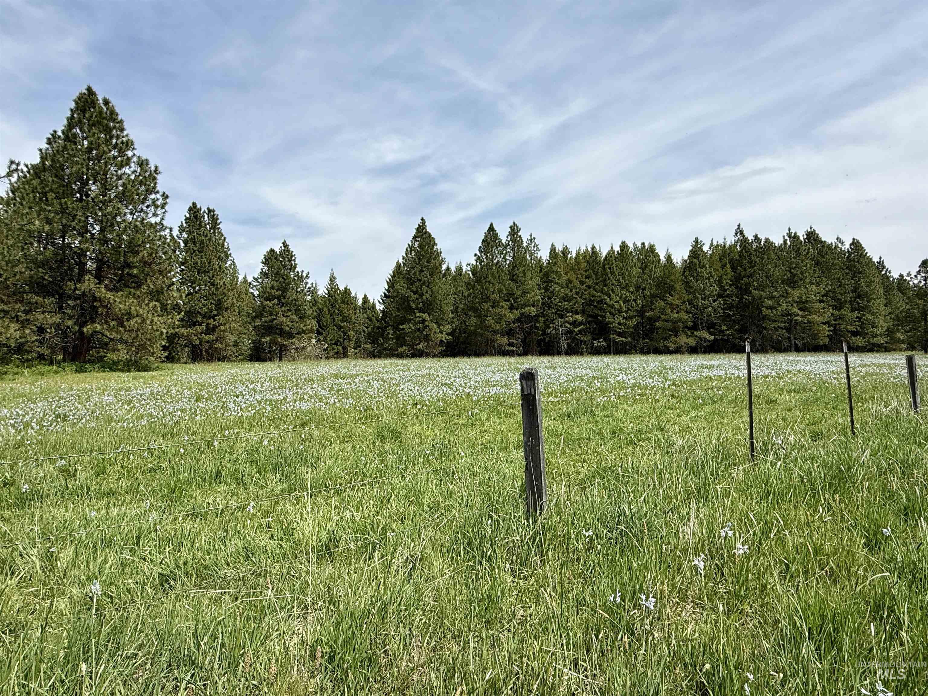 Tbd 4 Mile Road Property Photo 22