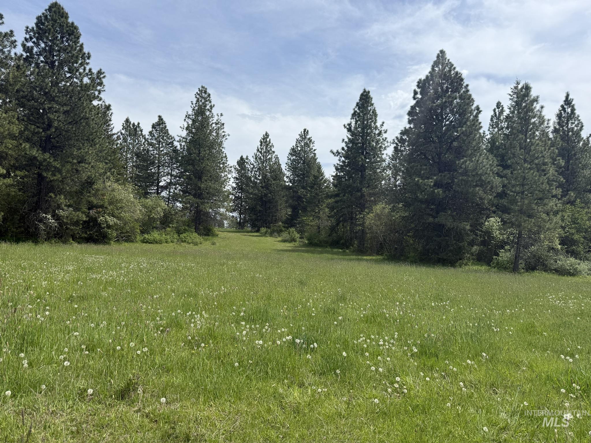 Tbd 4 Mile Road Property Photo 23
