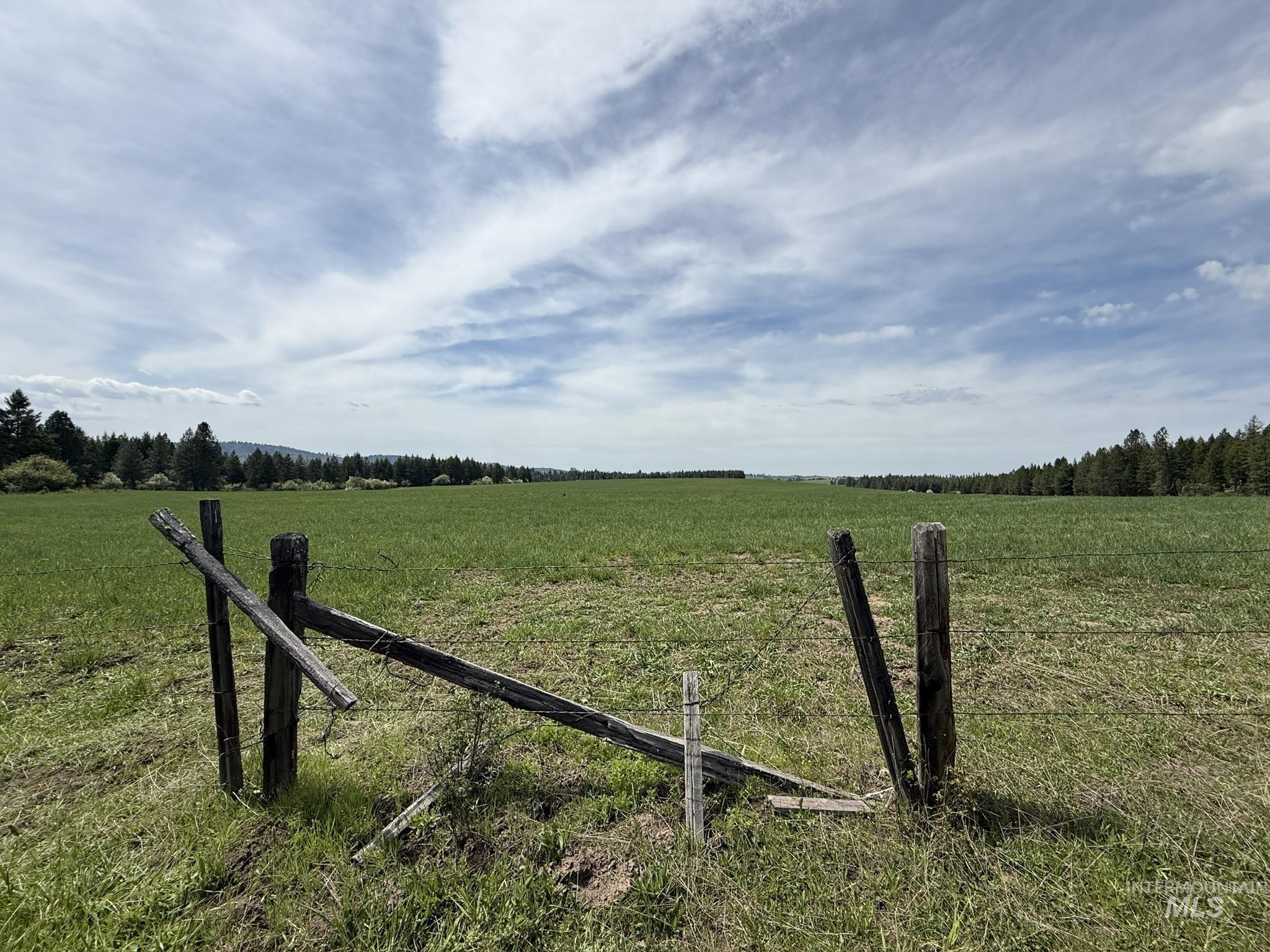 Tbd 4 Mile Road Property Photo 24