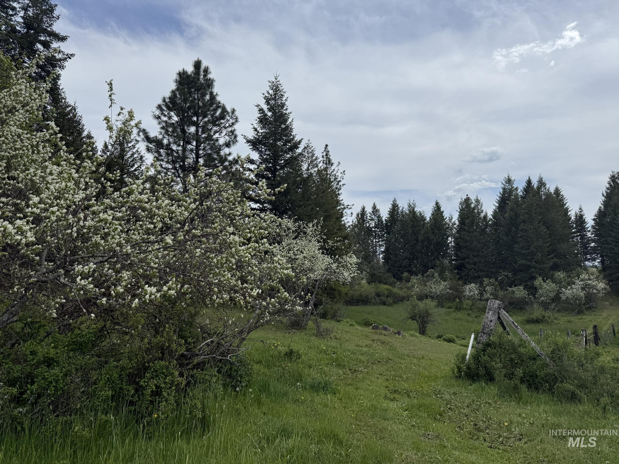 Tbd 4 Mile Road Property Photo 25