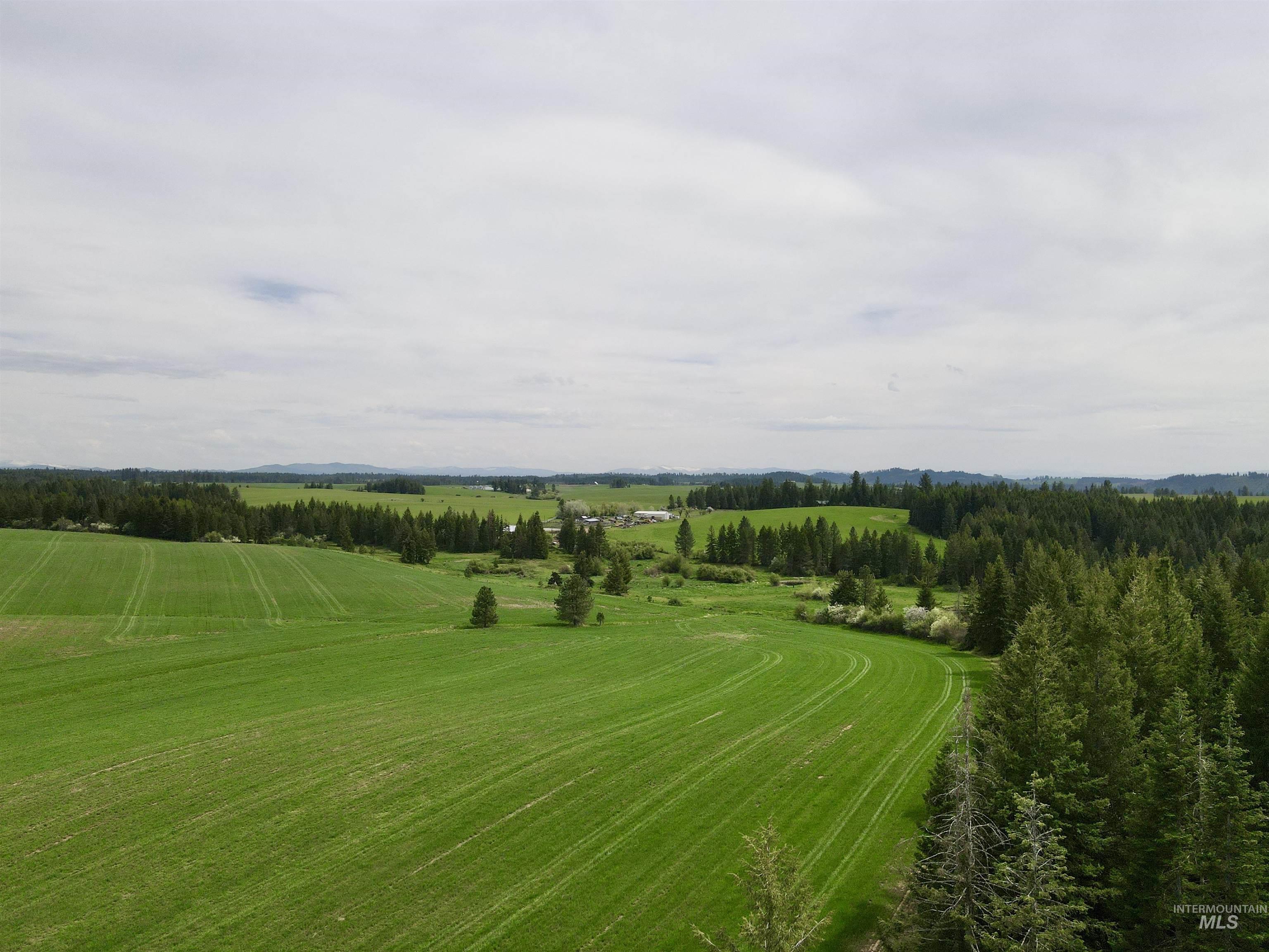 Tbd 4 Mile Road Property Photo 26