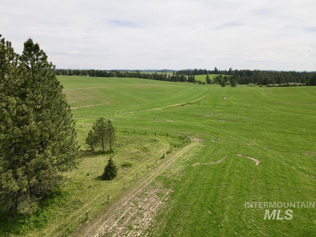 Tbd 4 Mile Road Property Photo 41