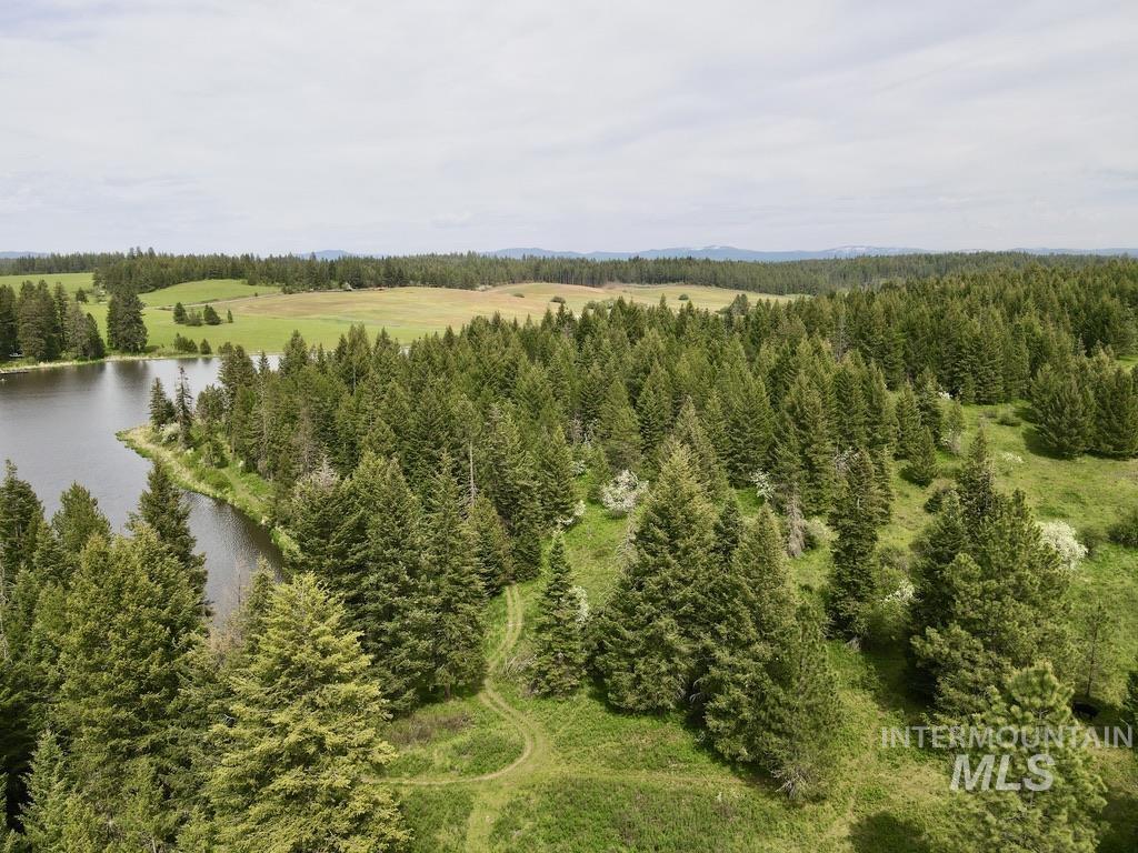 Tbd 4 Mile Road Property Photo 43