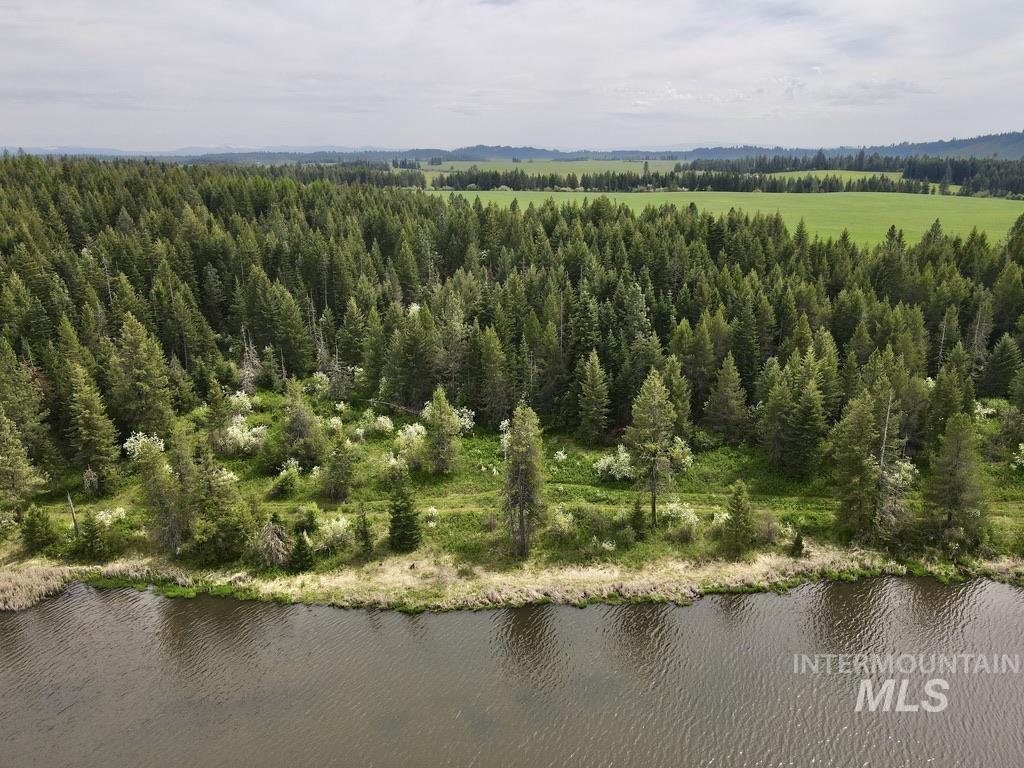 Tbd 4 Mile Road Property Photo 47