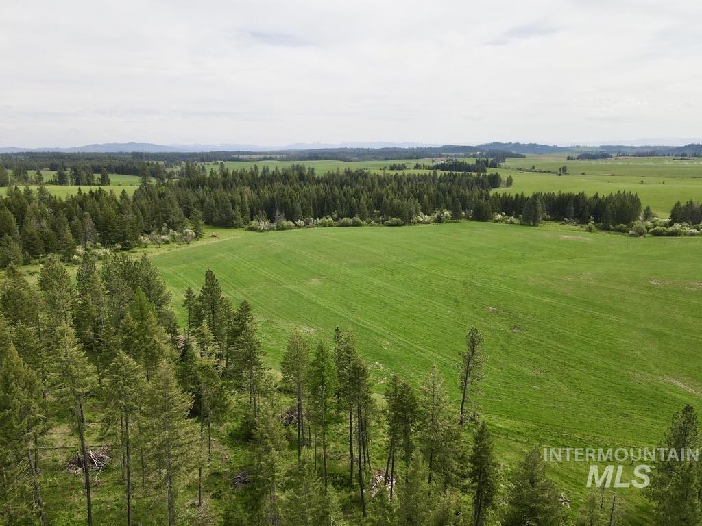 Tbd 4 Mile Road Property Photo 48