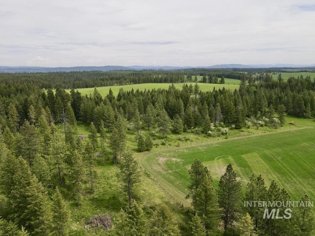 Tbd 4 Mile Road Property Photo 49