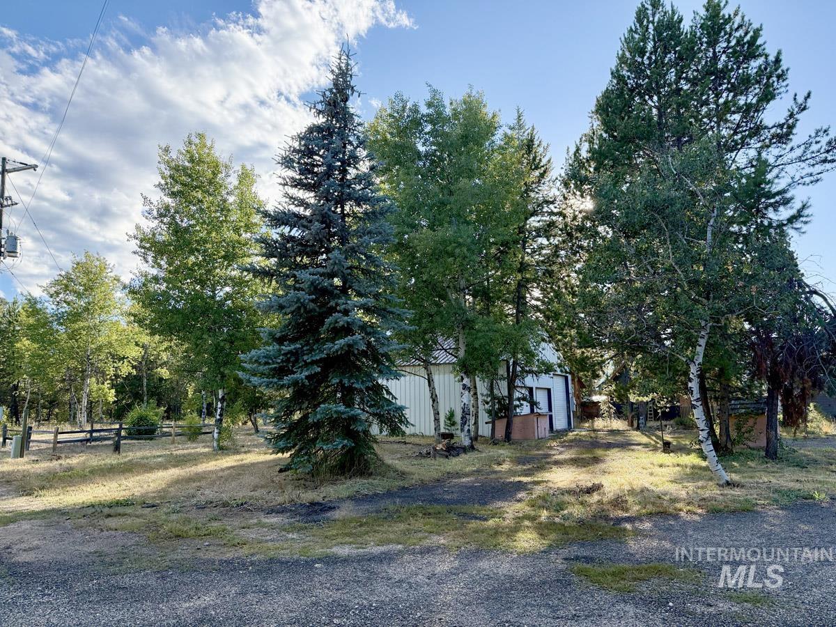 12989 Patty Drive Property Photo 7