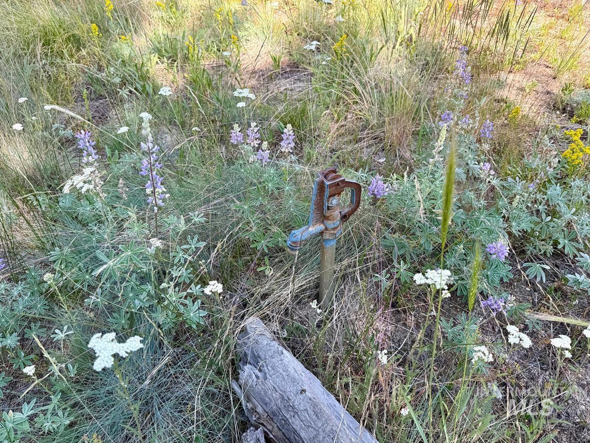 12989 Patty Drive Property Photo 14