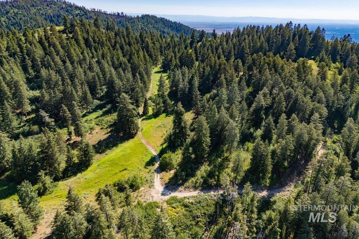 Tbd Shaw Mountain Rd Property Photo 1