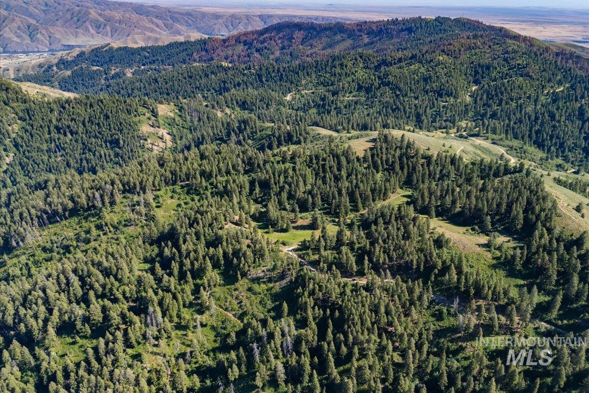 Tbd Shaw Mountain Rd Property Photo 12