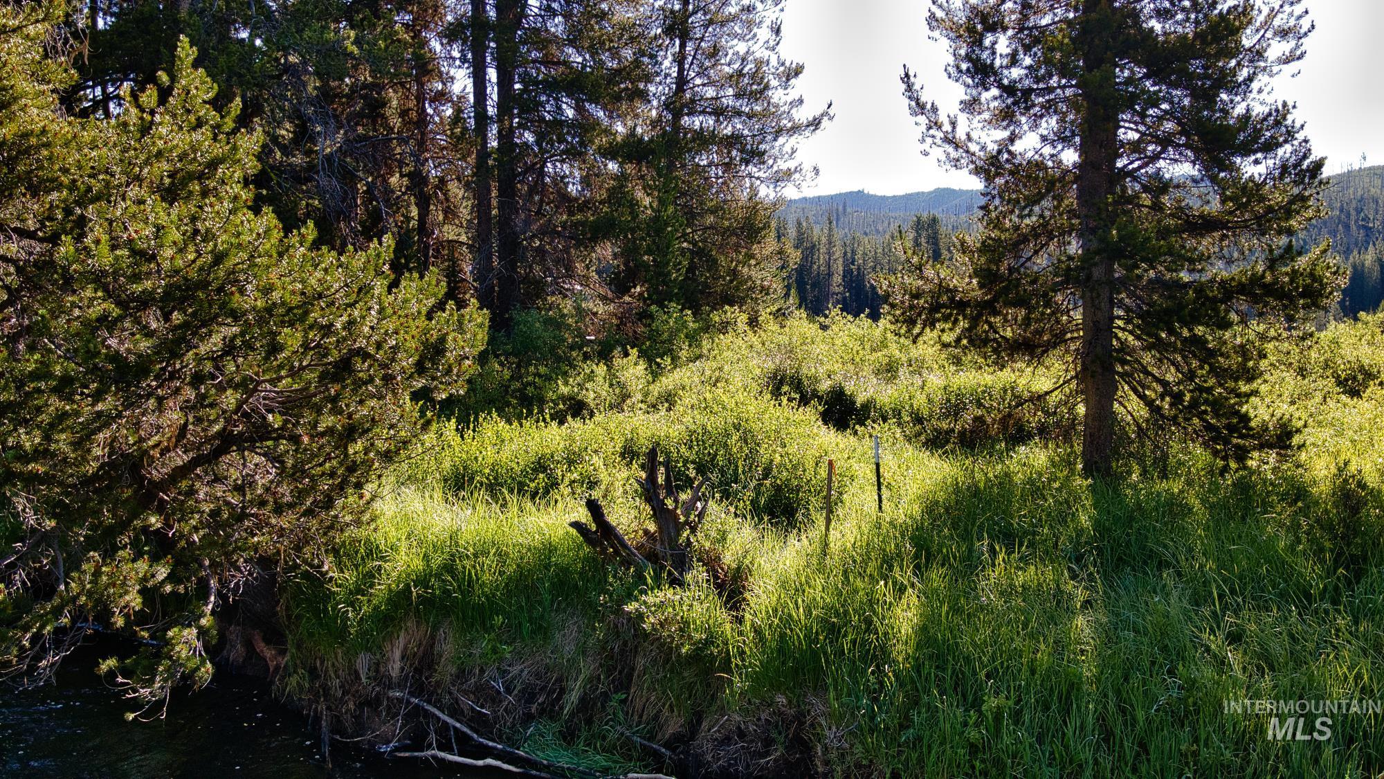 Tbd Secesh River Rd. Property Photo 9