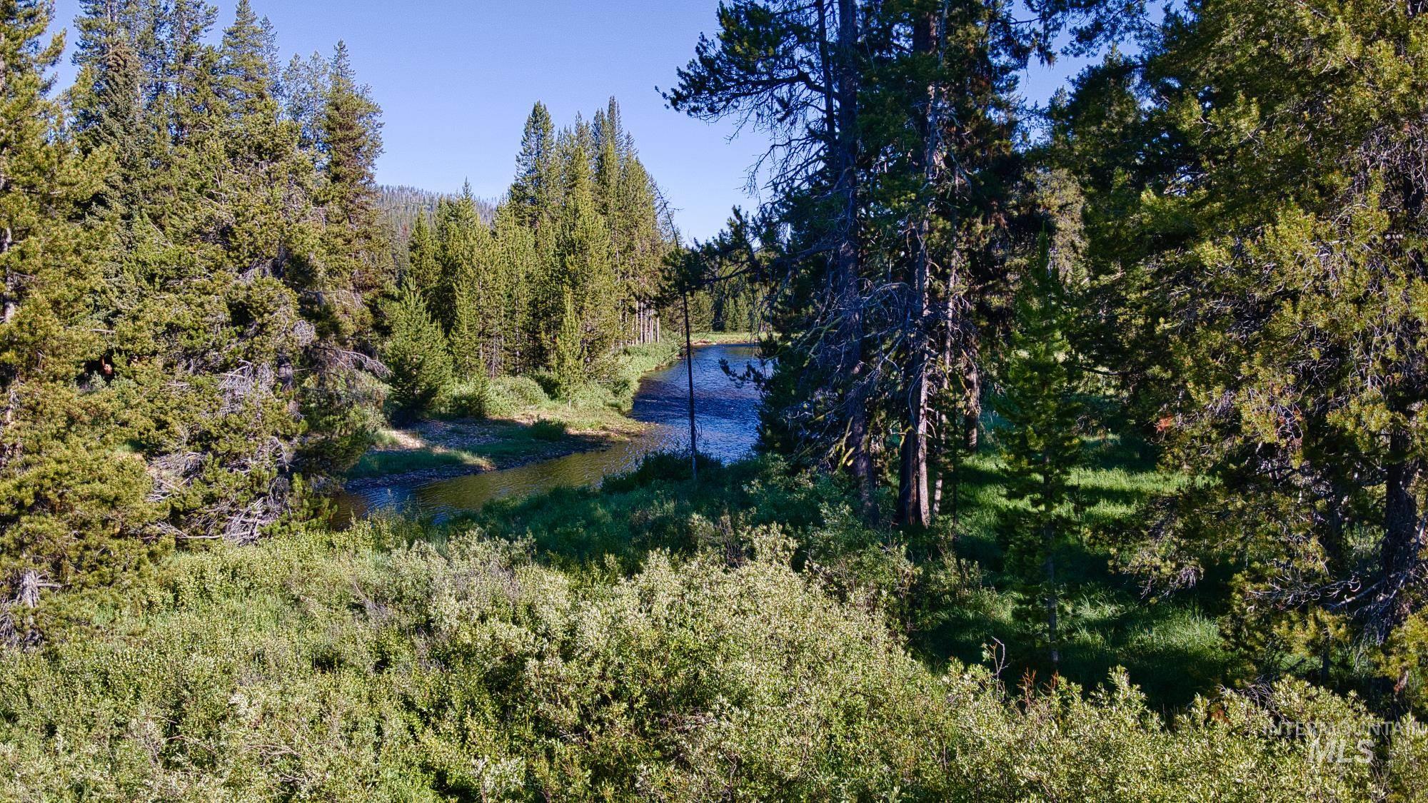 Tbd Secesh River Rd. Property Photo 10