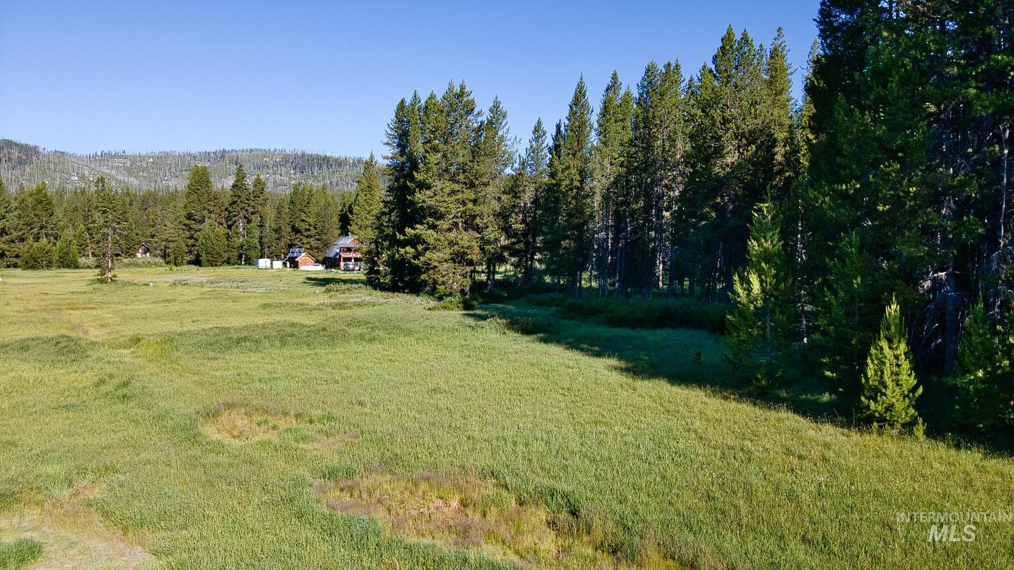 Tbd Secesh River Rd. Property Photo 12