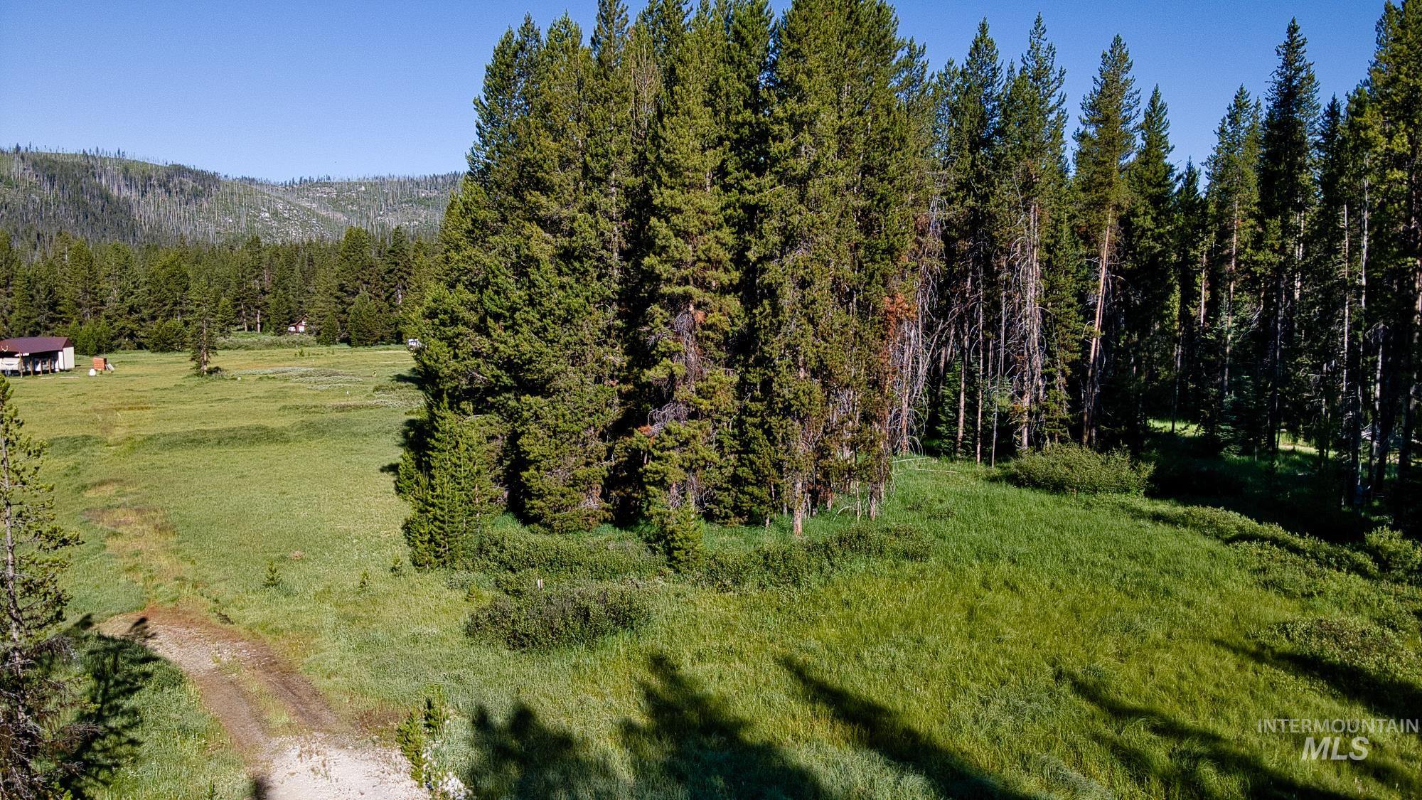 Tbd Secesh River Rd. Property Photo 13