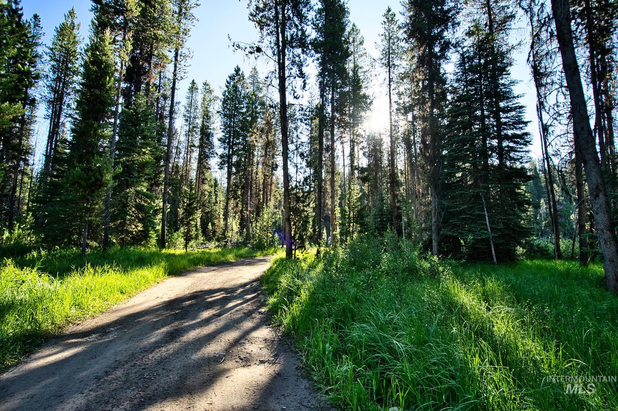 Tbd Secesh River Rd. Property Photo 15
