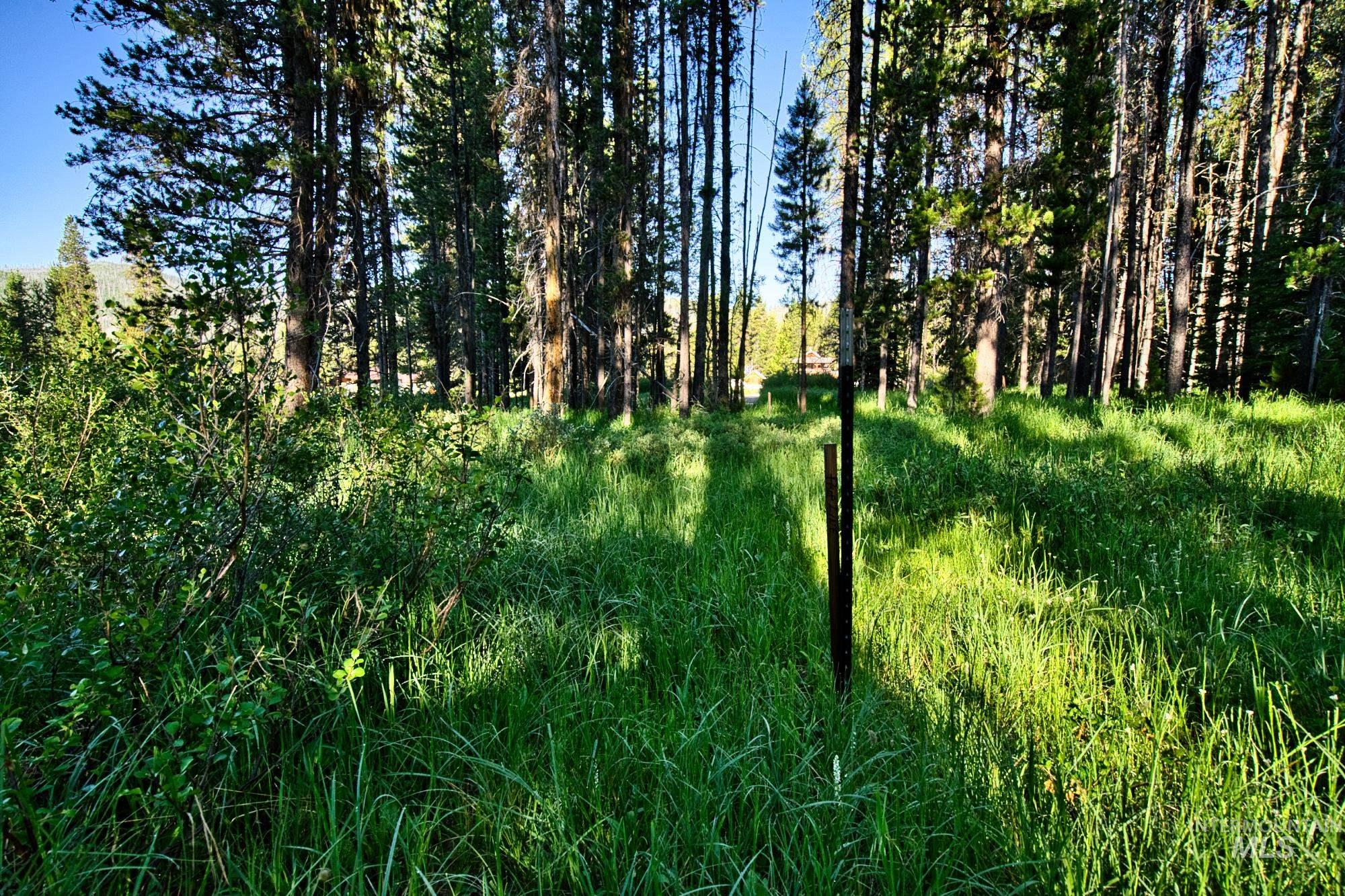 Tbd Secesh River Rd. Property Photo 16