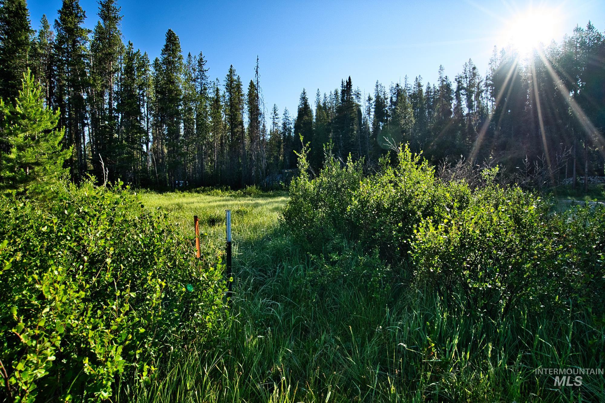 Tbd Secesh River Rd. Property Photo 17