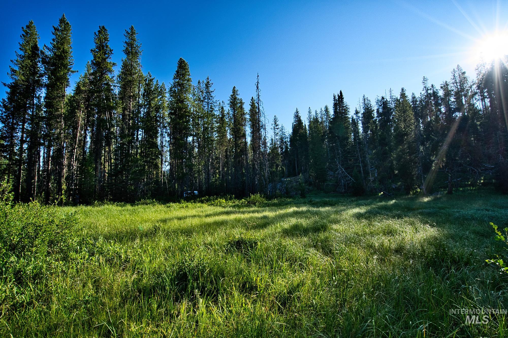 Tbd Secesh River Rd. Property Photo 18