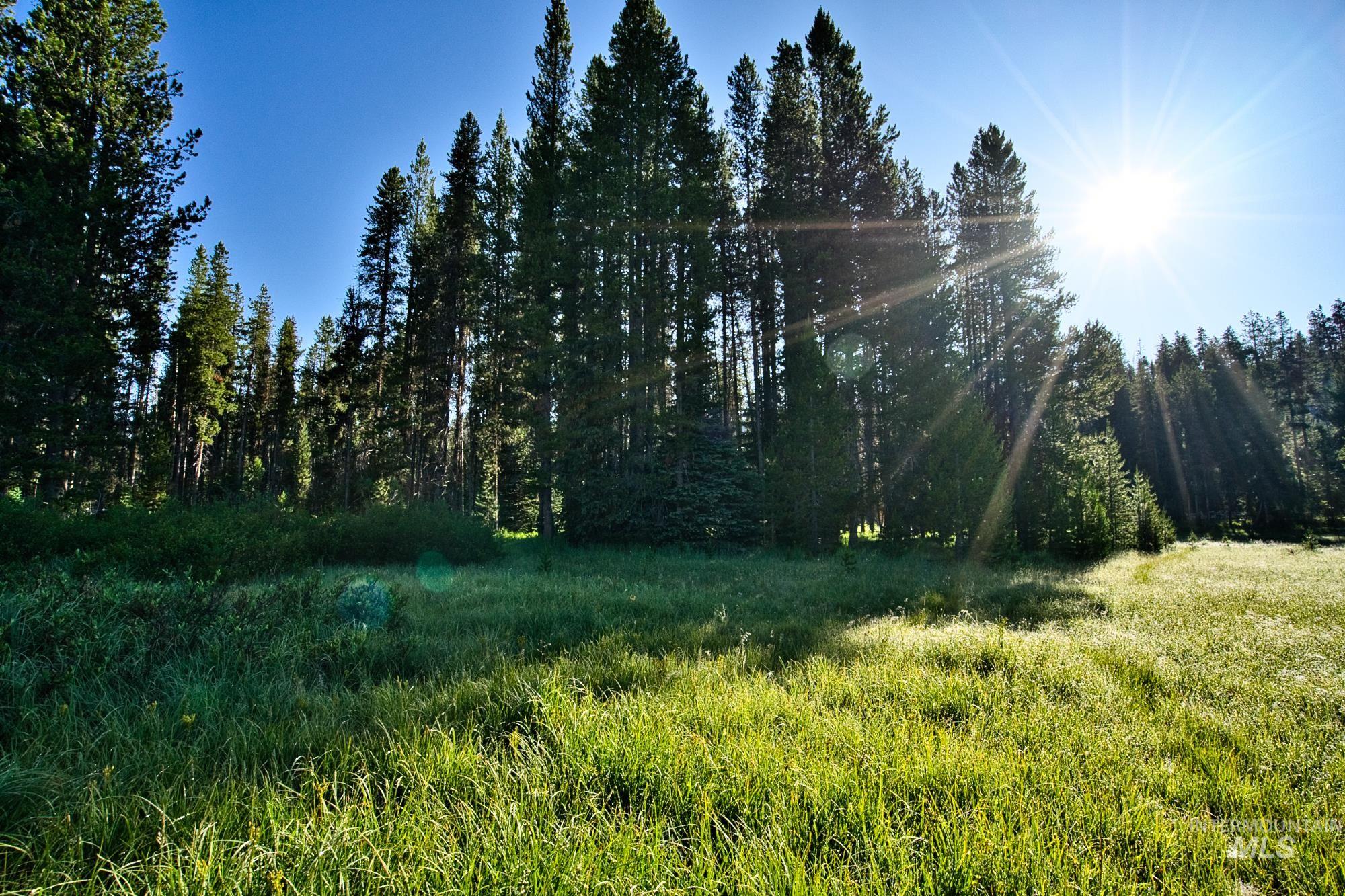 Tbd Secesh River Rd. Property Photo 19