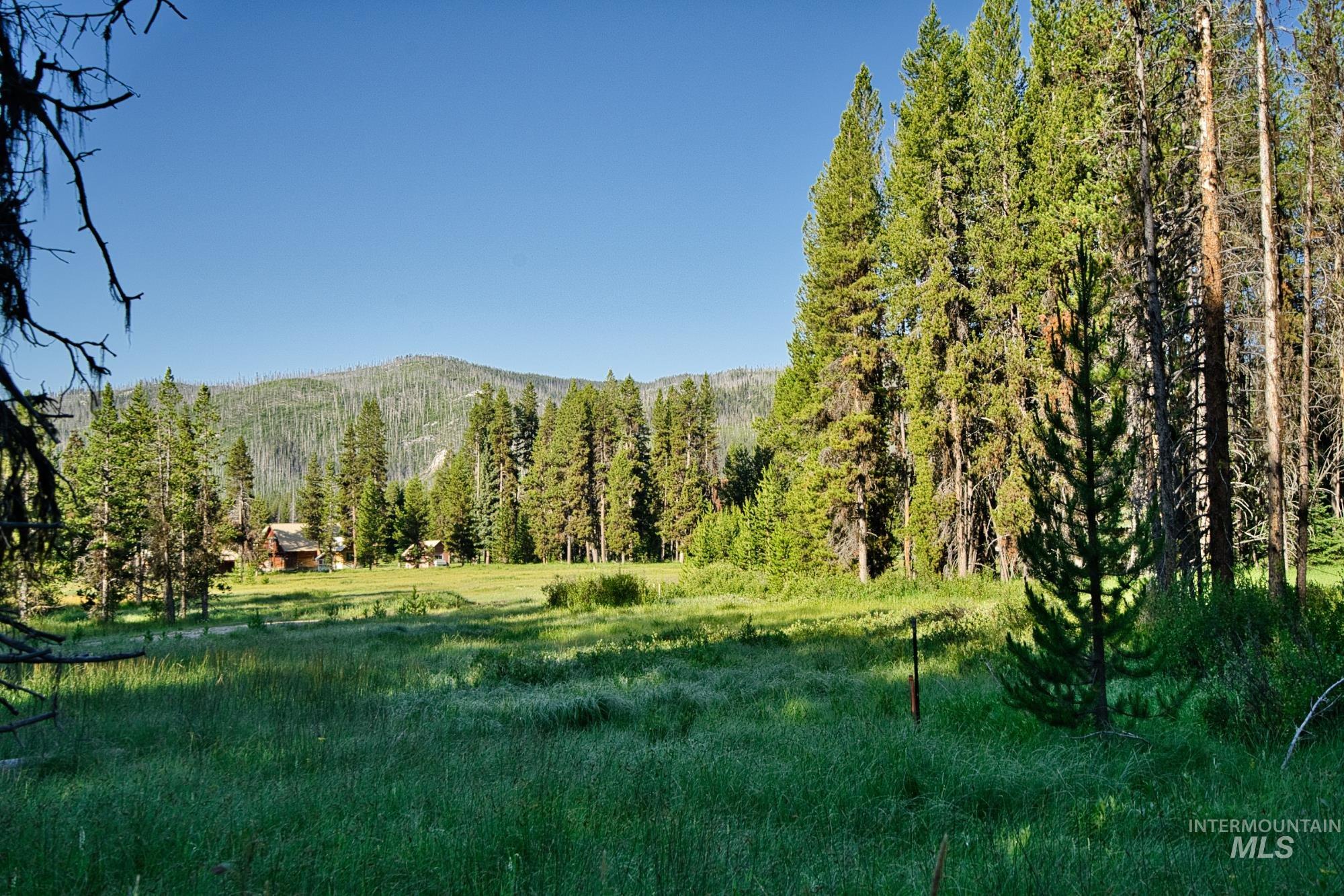 Tbd Secesh River Rd. Property Photo 21