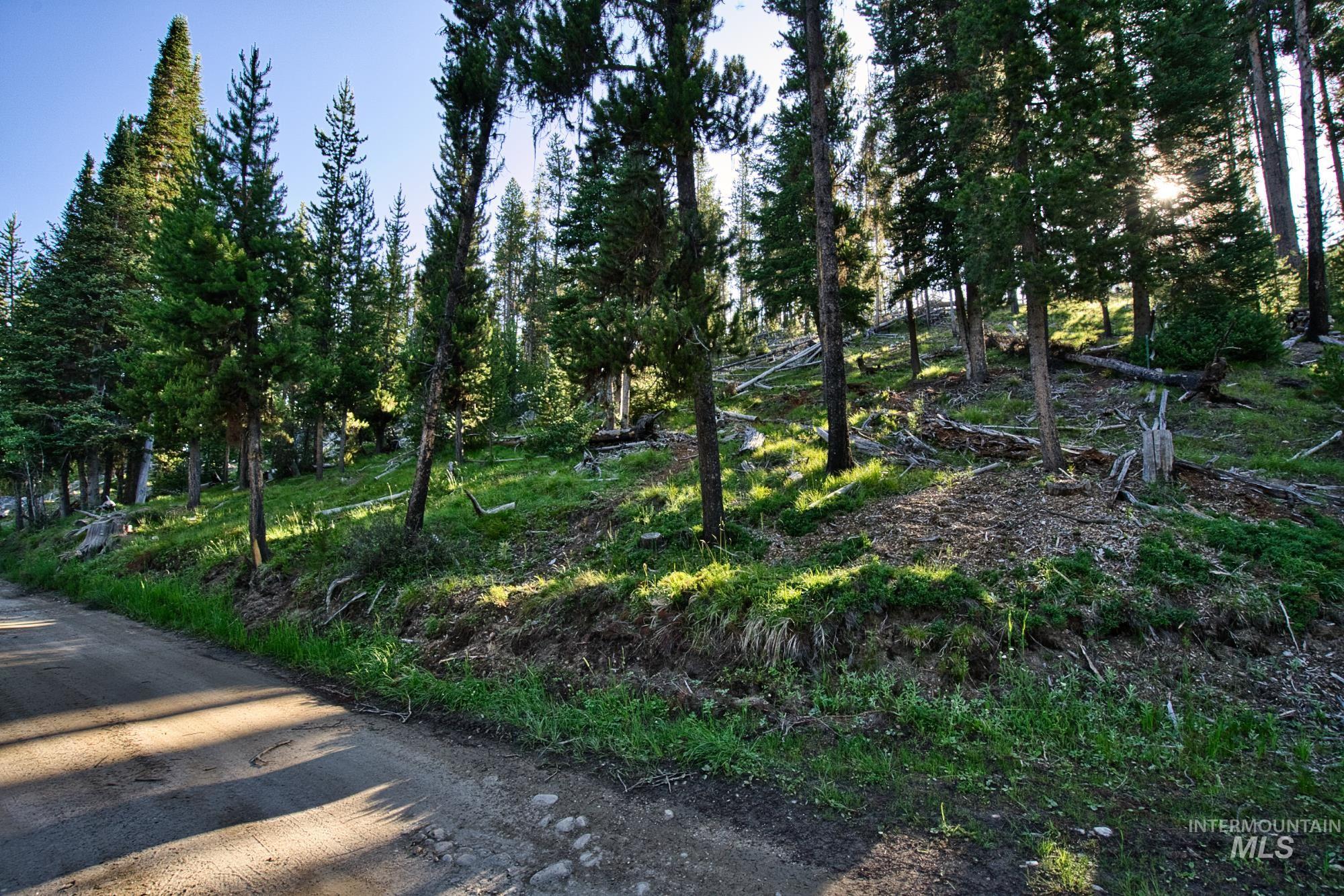Tbd Secesh River Rd. Property Photo 22