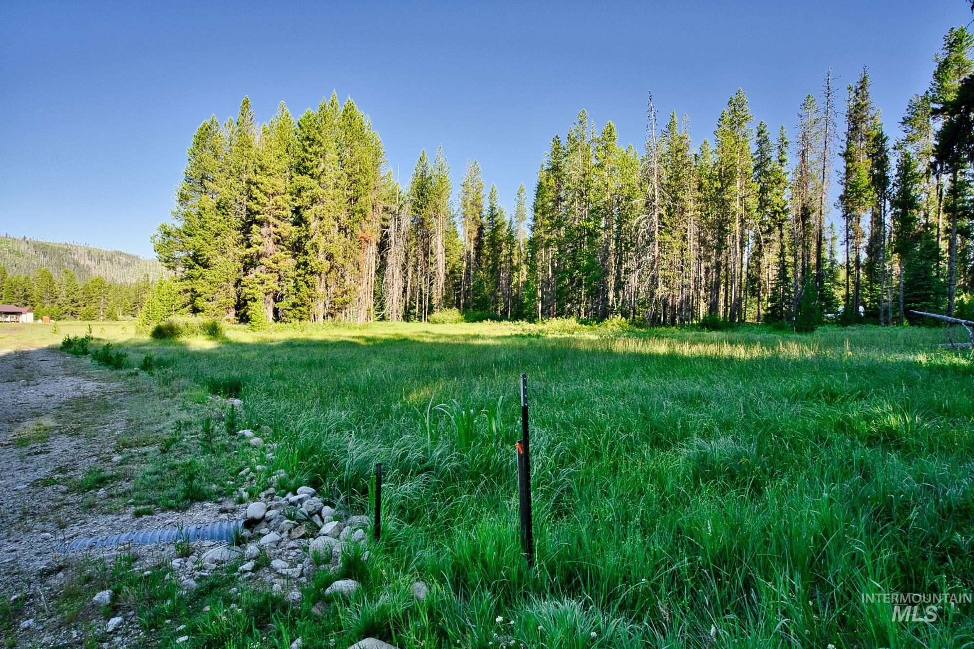 Tbd Secesh River Rd. Property Photo 23