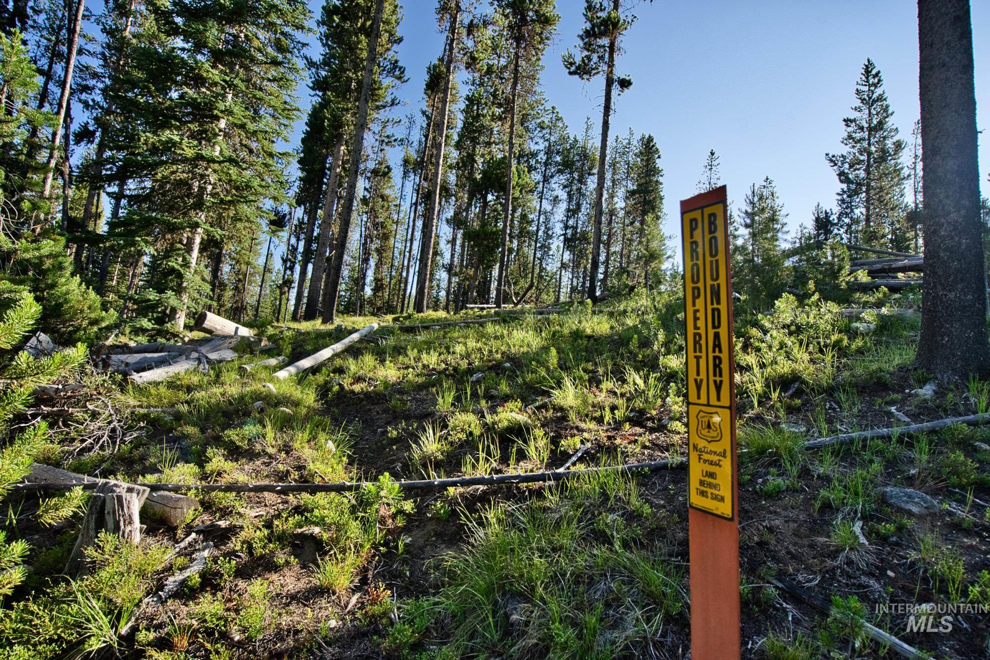 Tbd Secesh River Rd. Property Photo 24