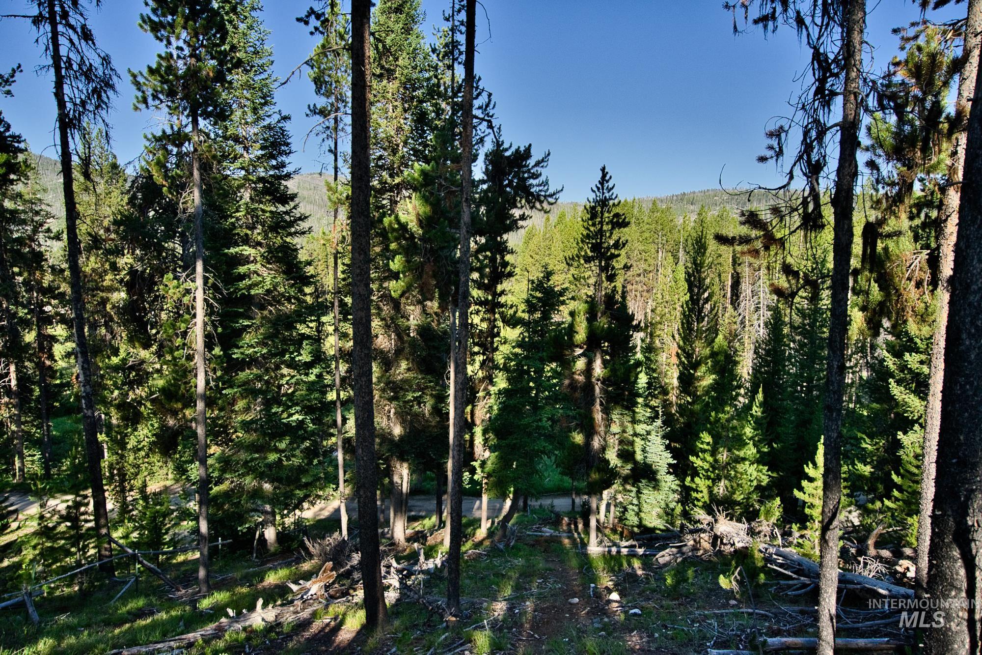 Tbd Secesh River Rd. Property Photo 25
