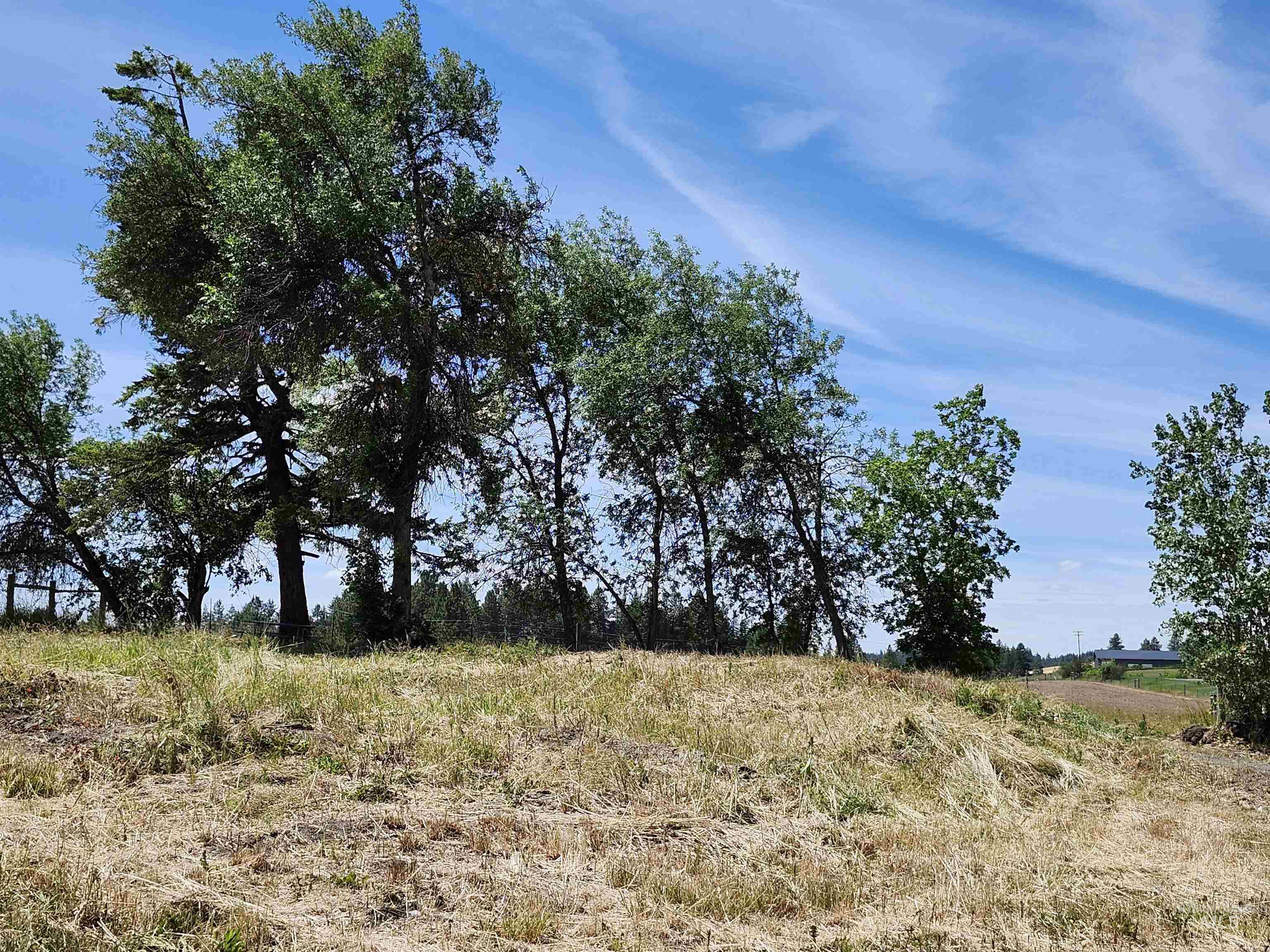 4391 E Hwy 8 Property Photo 8