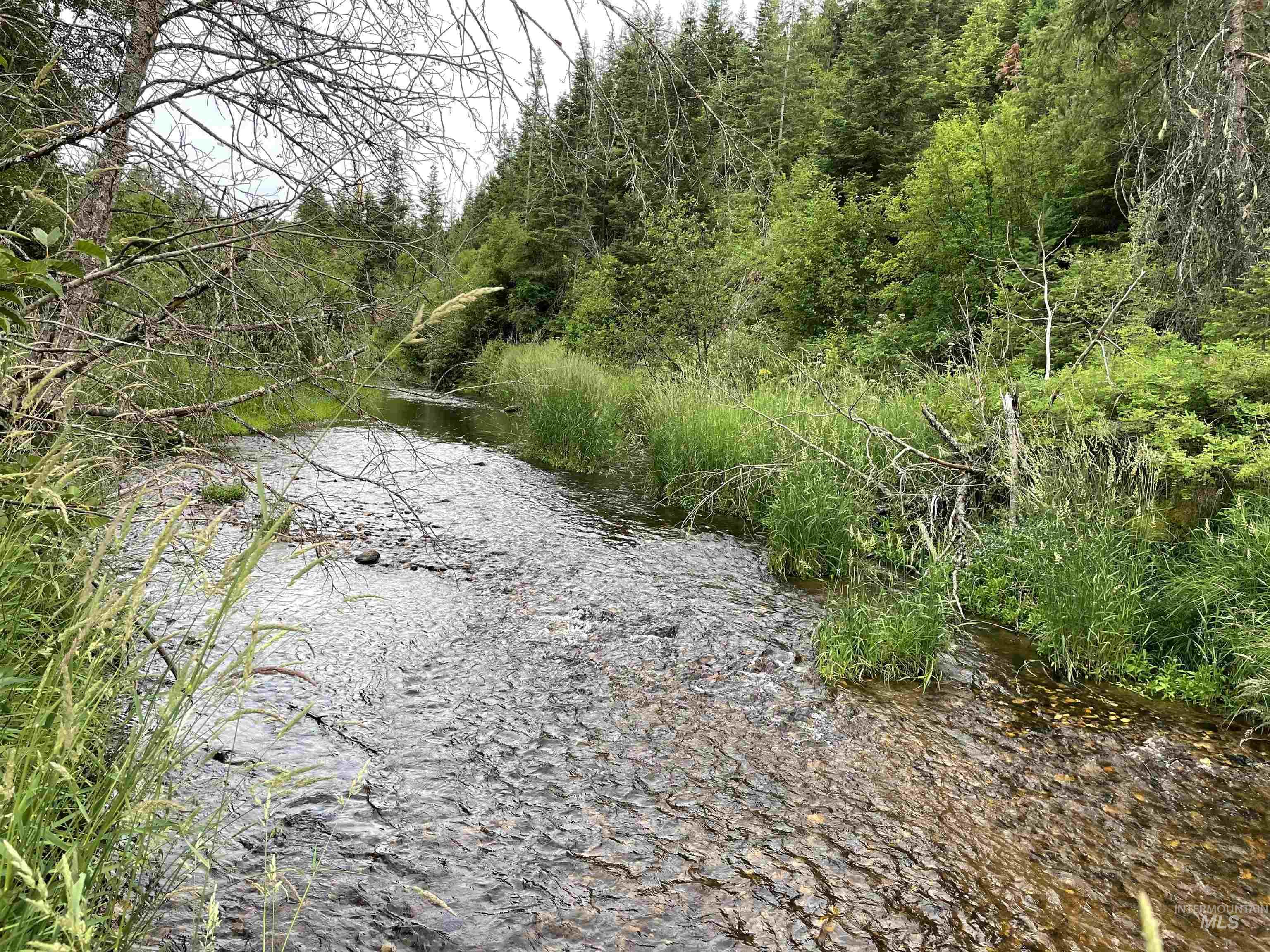 0 Highway 11 Property Photo 1