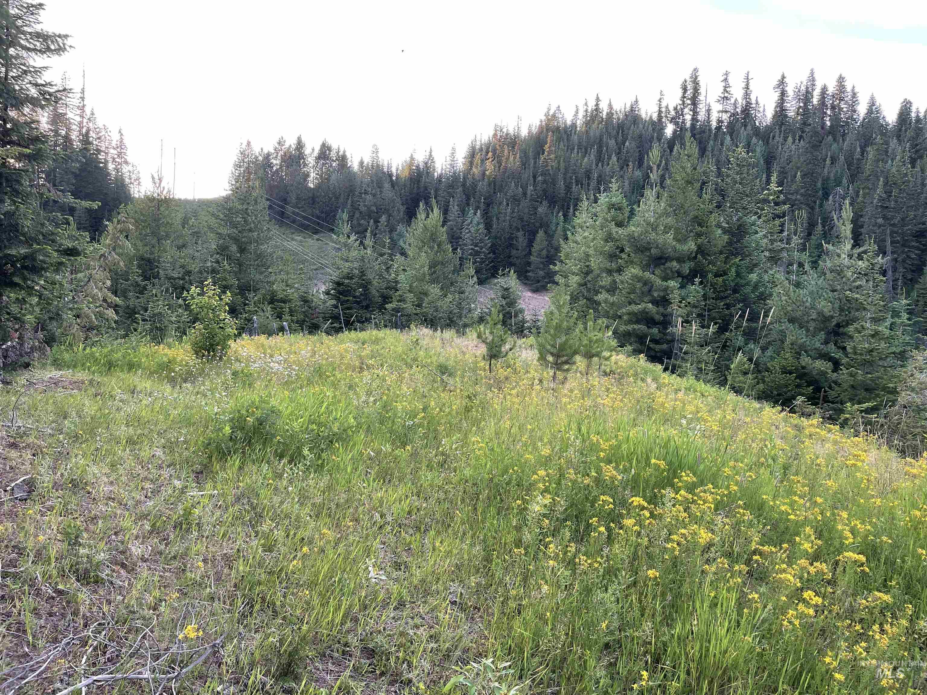 0 Highway 11 Property Photo 4