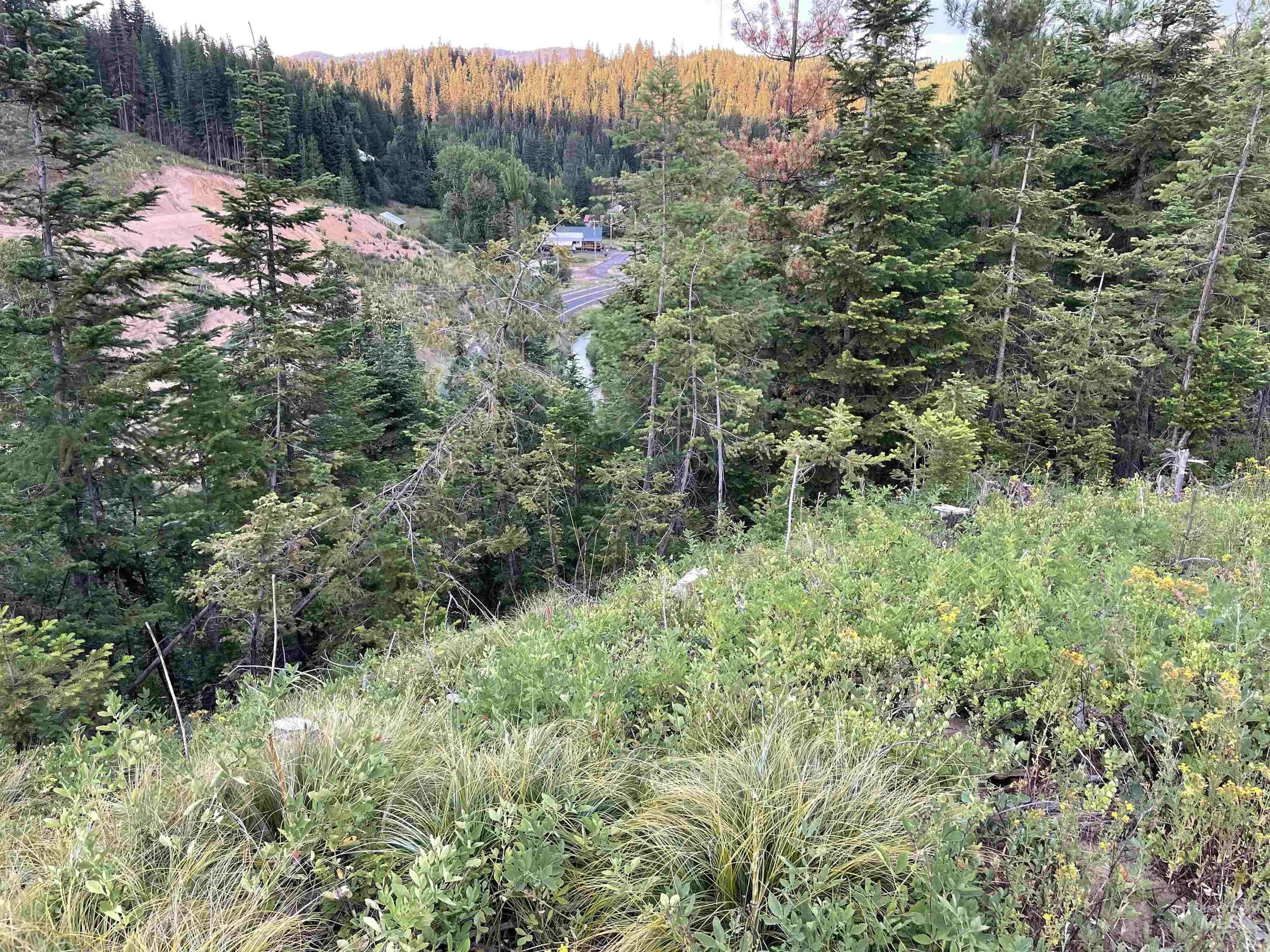 0 Highway 11 Property Photo 12