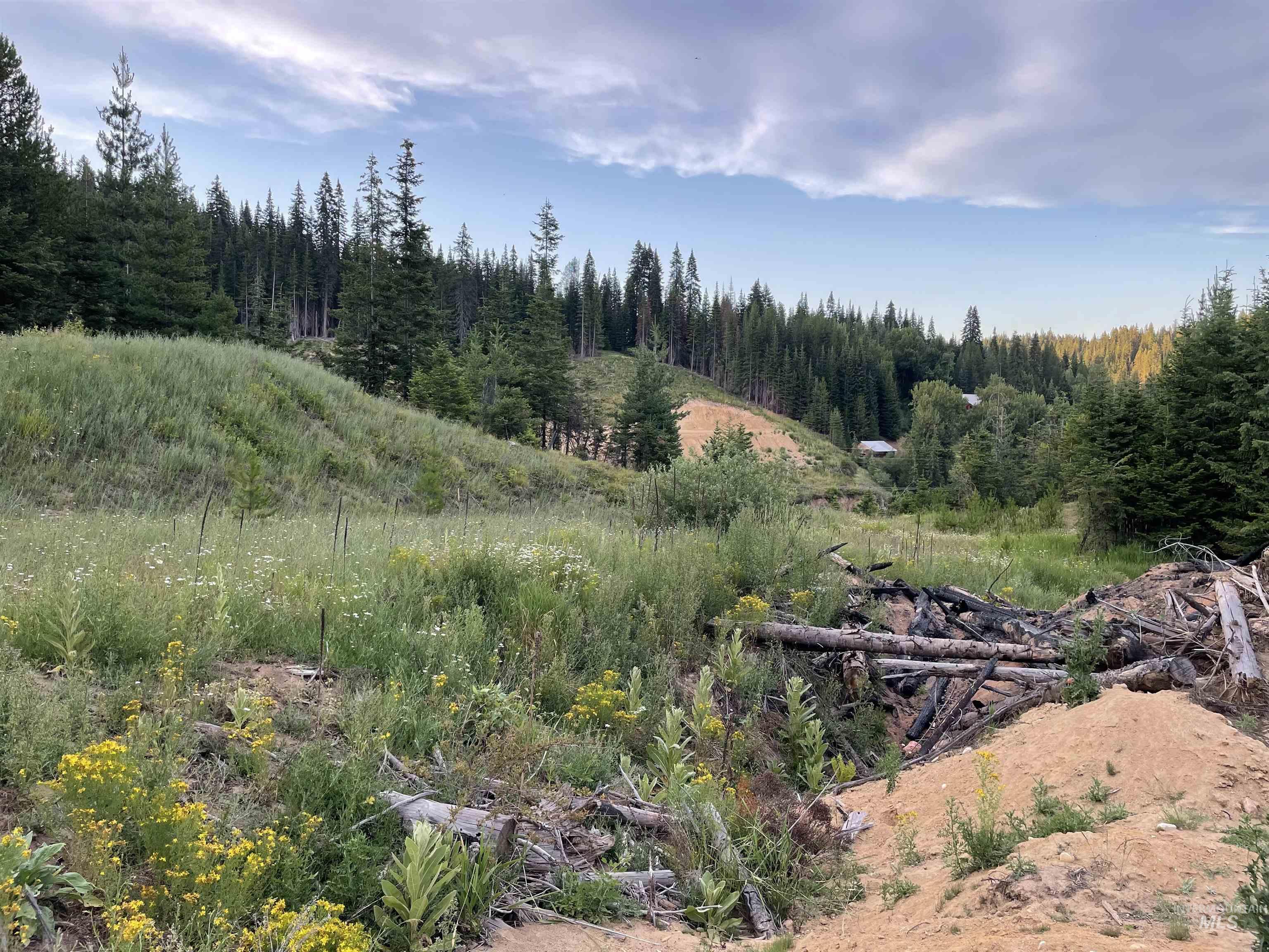 0 Highway 11 Property Photo 13