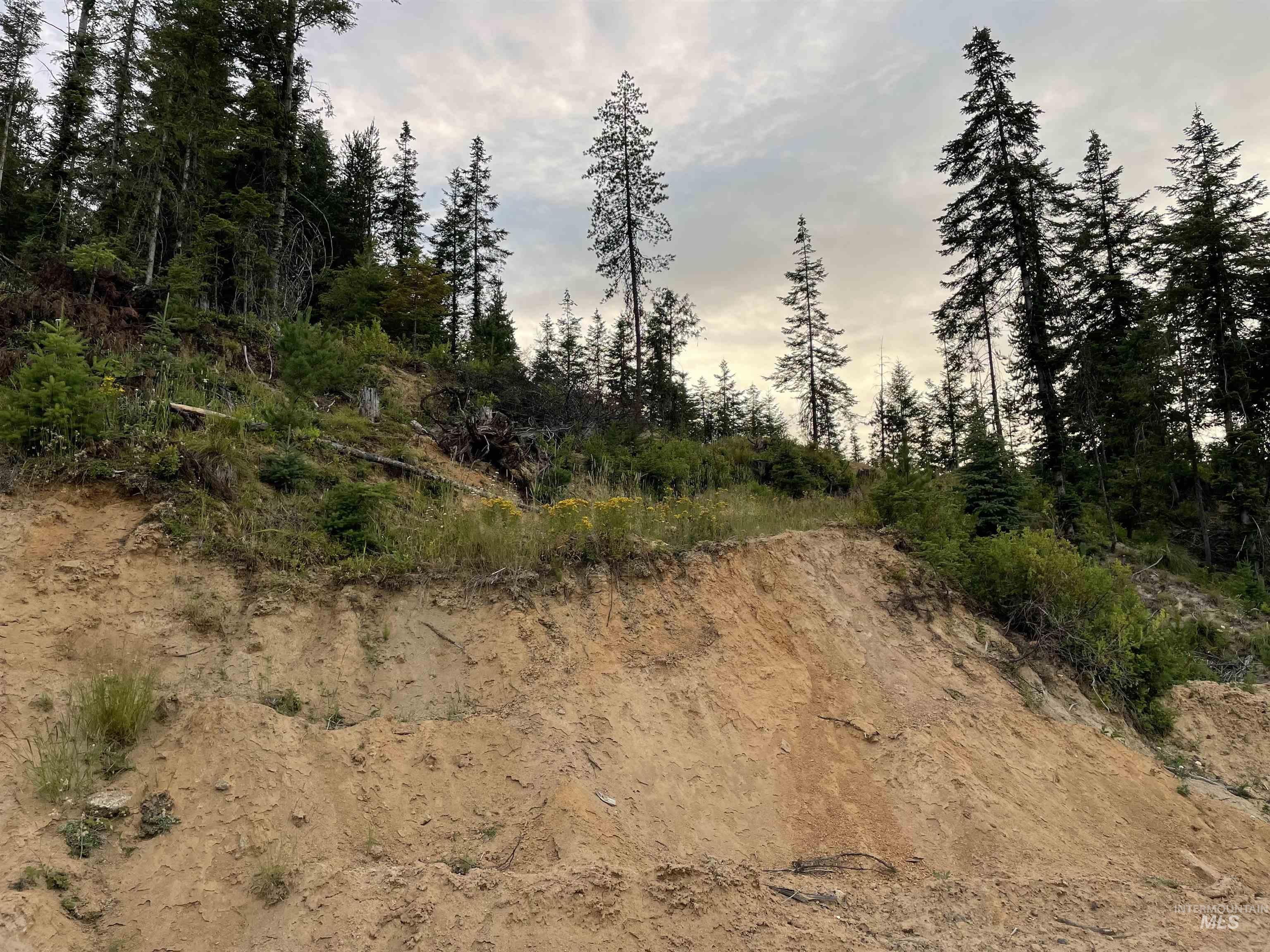 0 Highway 11 Property Photo 14