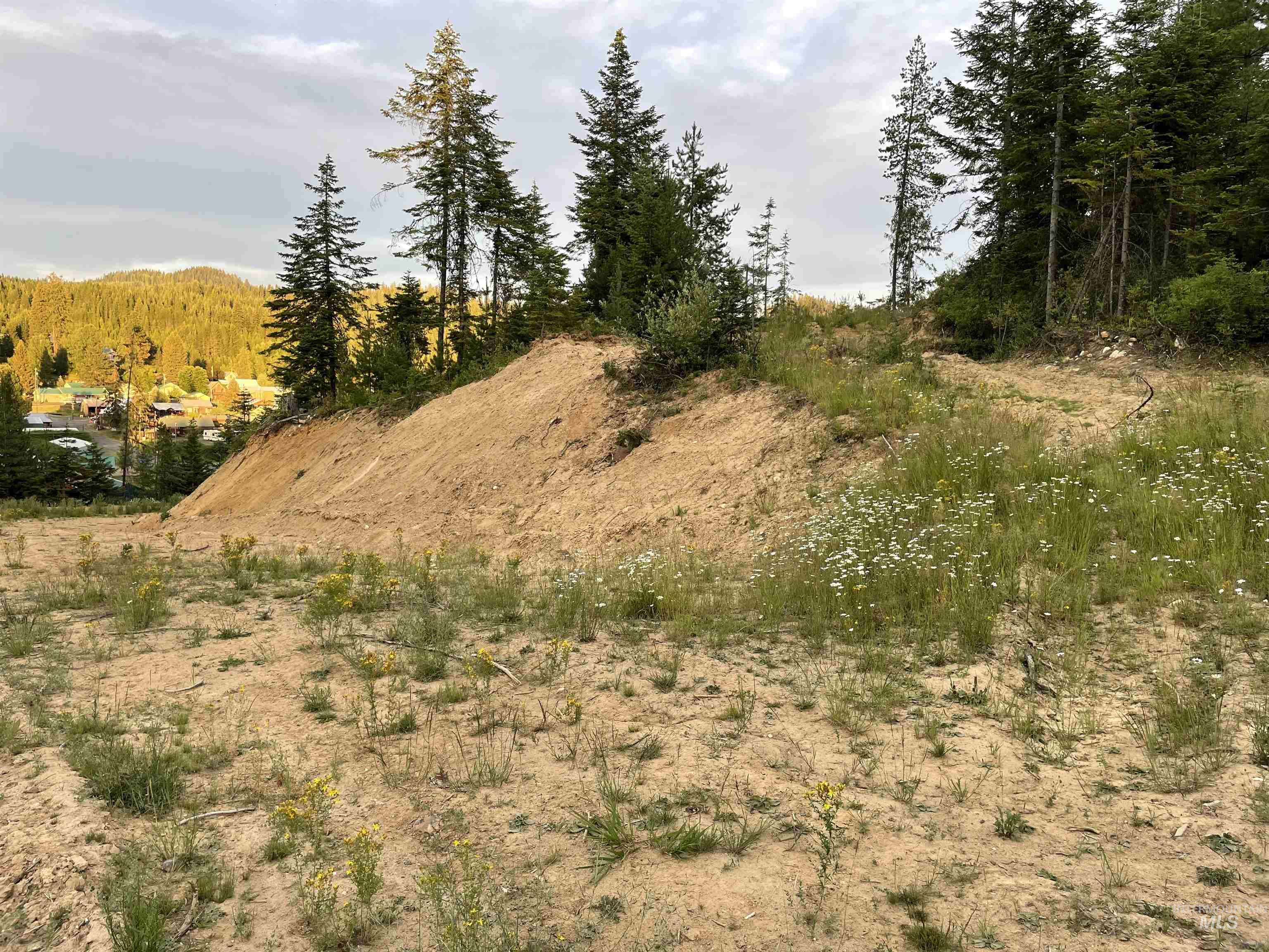 0 Highway 11 Property Photo 16