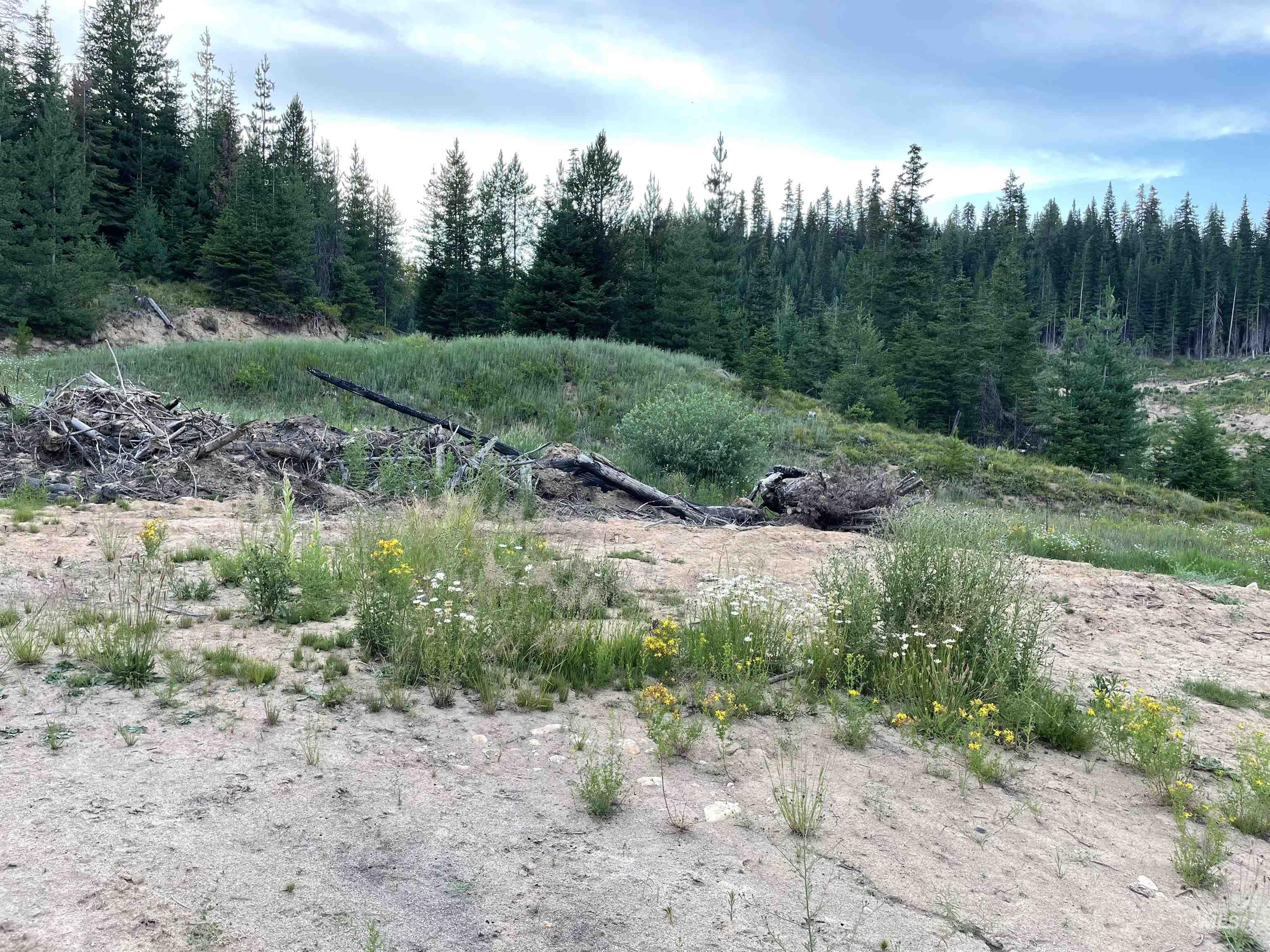 0 Highway 11 Property Photo 20