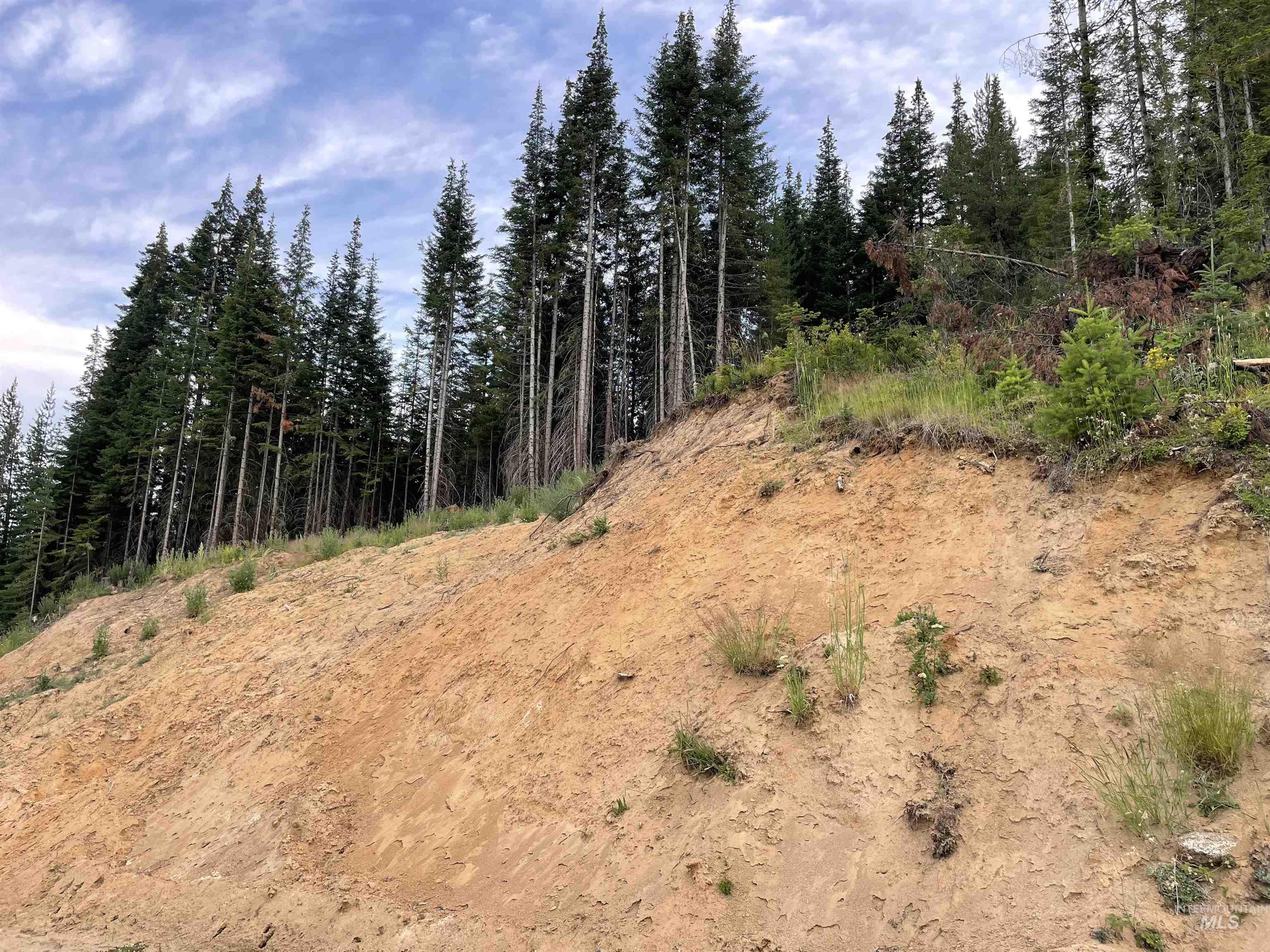 0 Highway 11 Property Photo 22