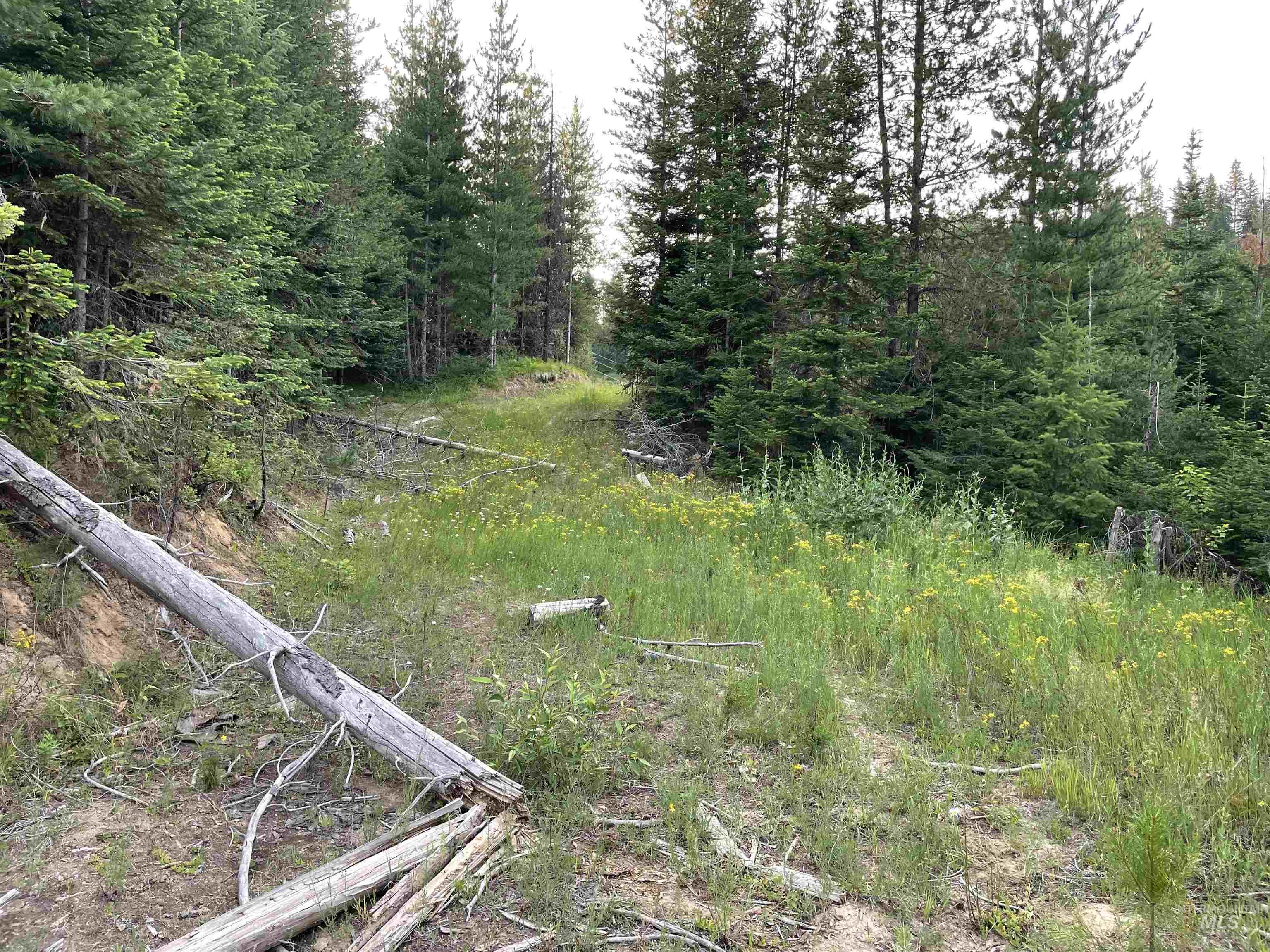 0 Highway 11 Property Photo 23