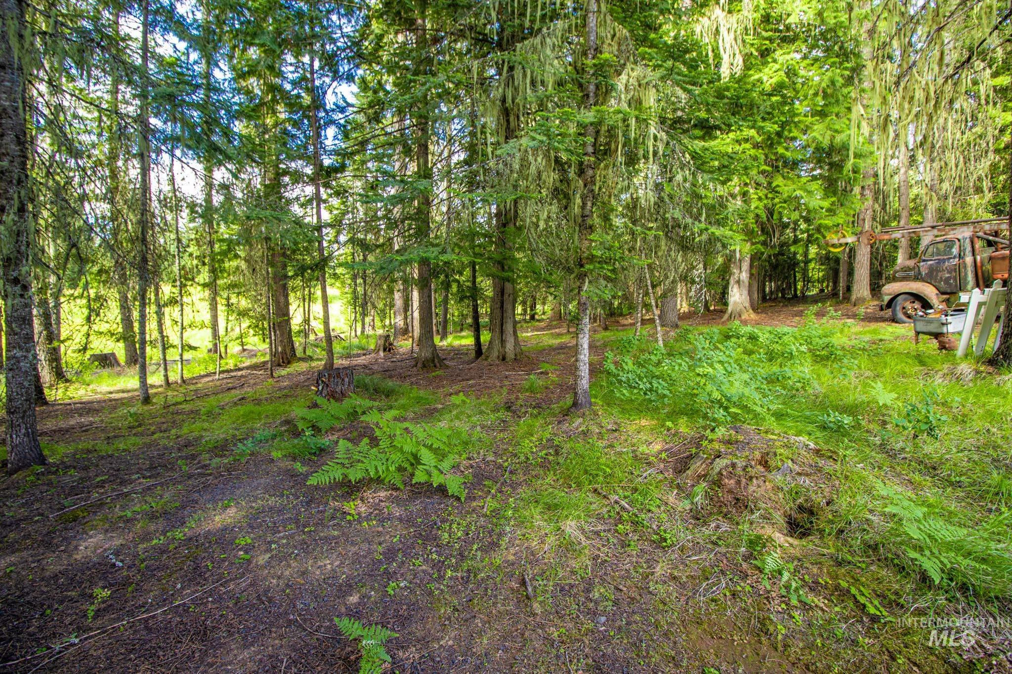 20888 Upper Fords Creek Rd Property Photo 12