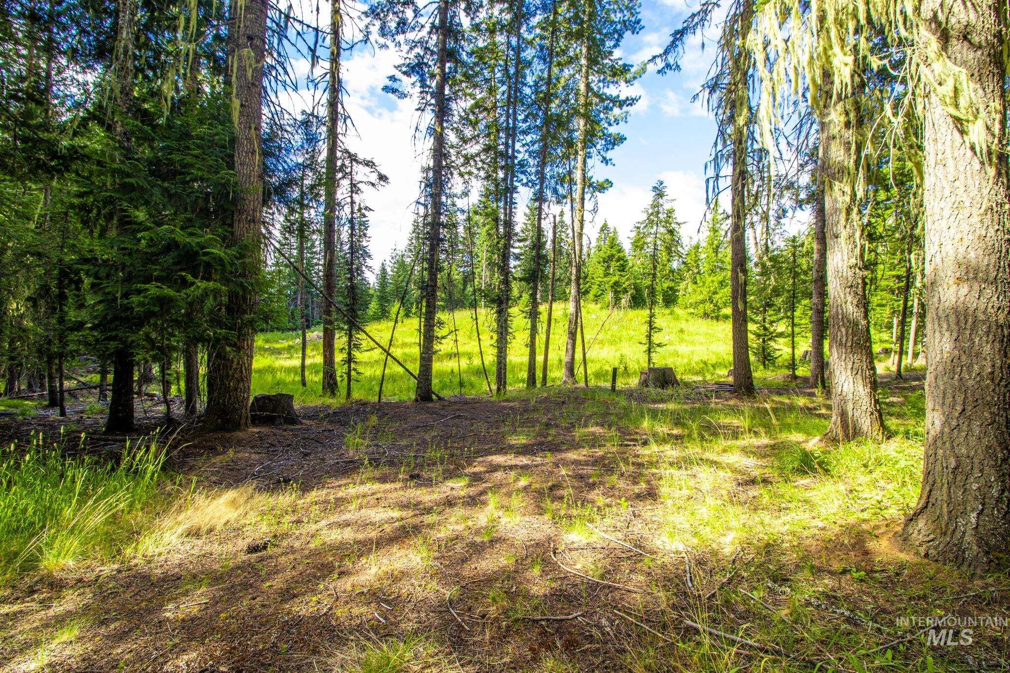 20888 Upper Fords Creek Rd Property Photo 13