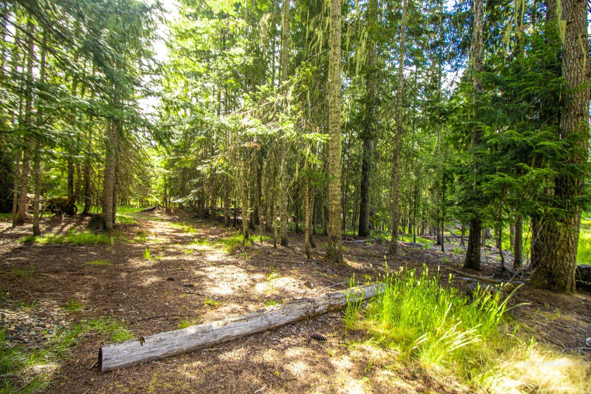 20888 Upper Fords Creek Rd Property Photo 14