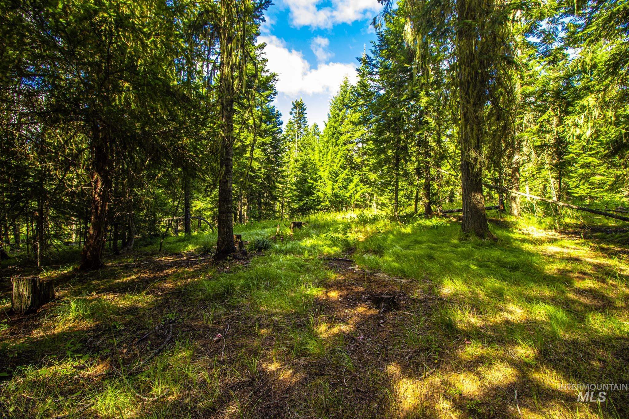 20888 Upper Fords Creek Rd Property Photo 16