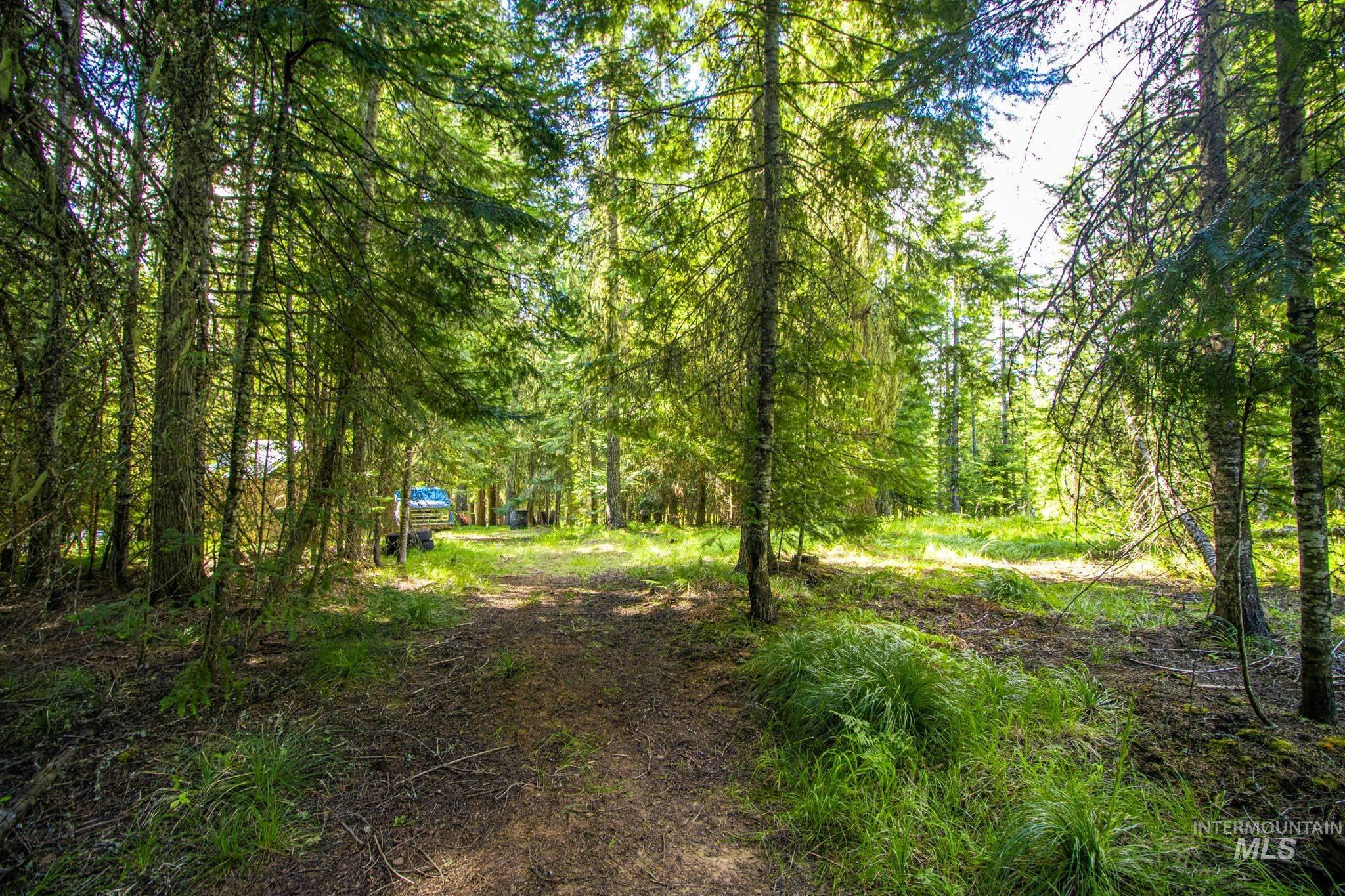 20888 Upper Fords Creek Rd Property Photo 17