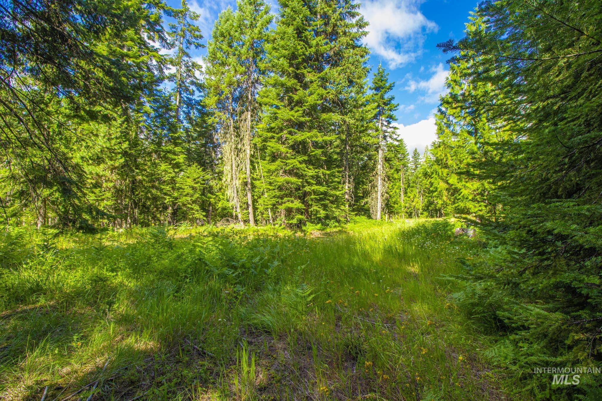 20888 Upper Fords Creek Rd Property Photo 18