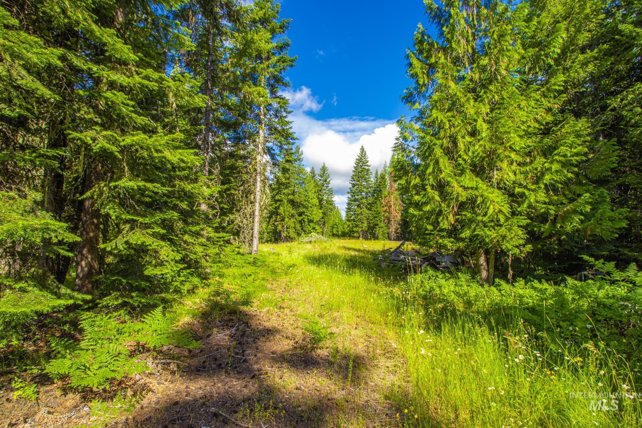 20888 Upper Fords Creek Rd Property Photo 19