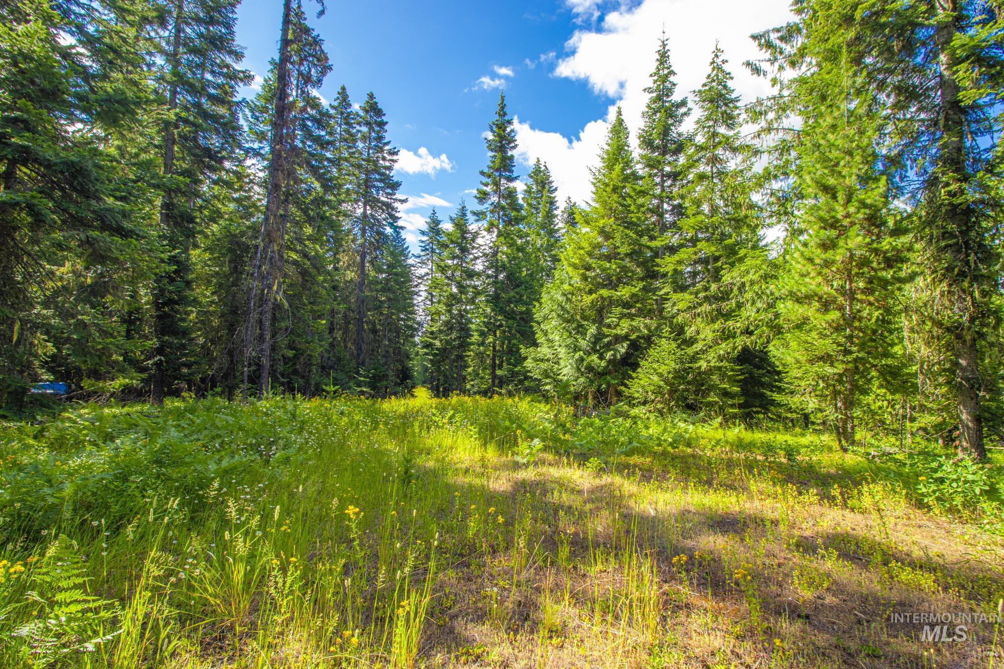 20888 Upper Fords Creek Rd Property Photo 20